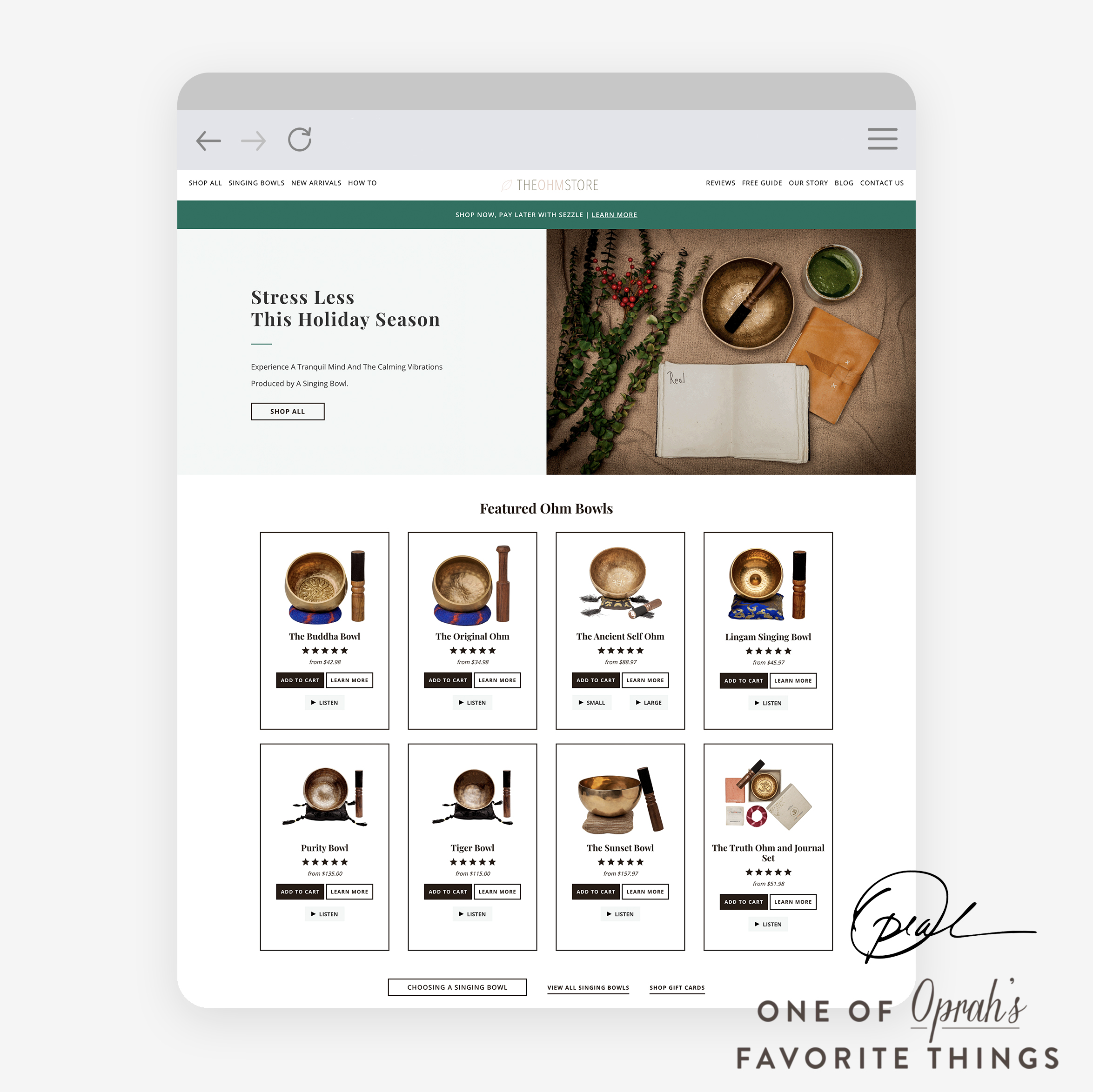 The Ohm Store screenshot