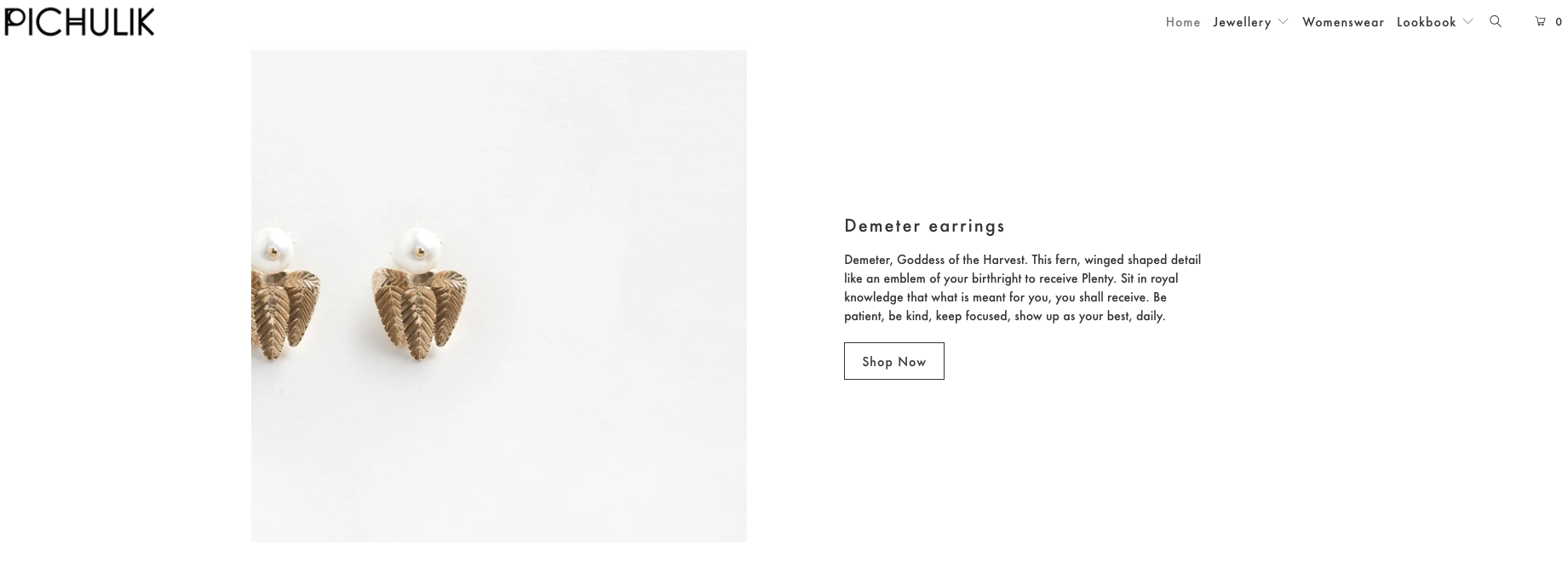 Pichulik Shopify Development screenshot