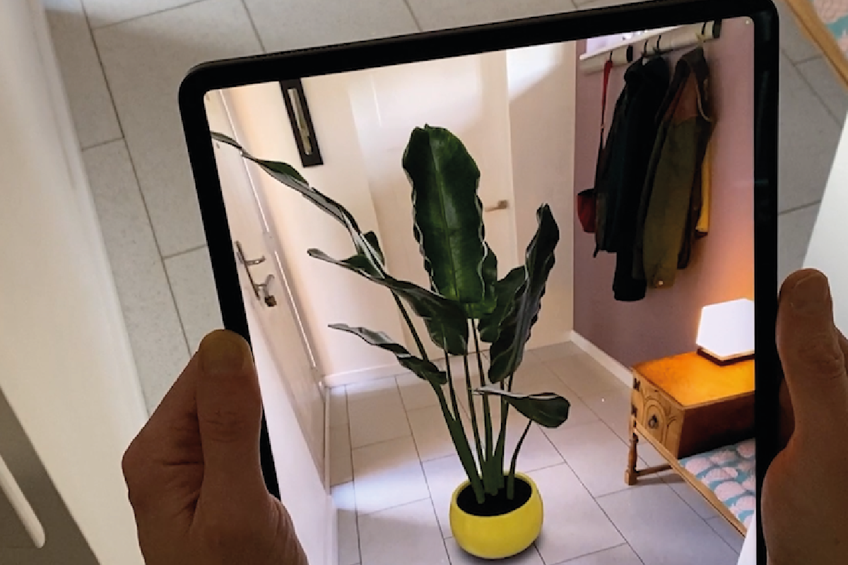 Innovative 3D webAR Solutions for Growing Sales in House Plant Retail