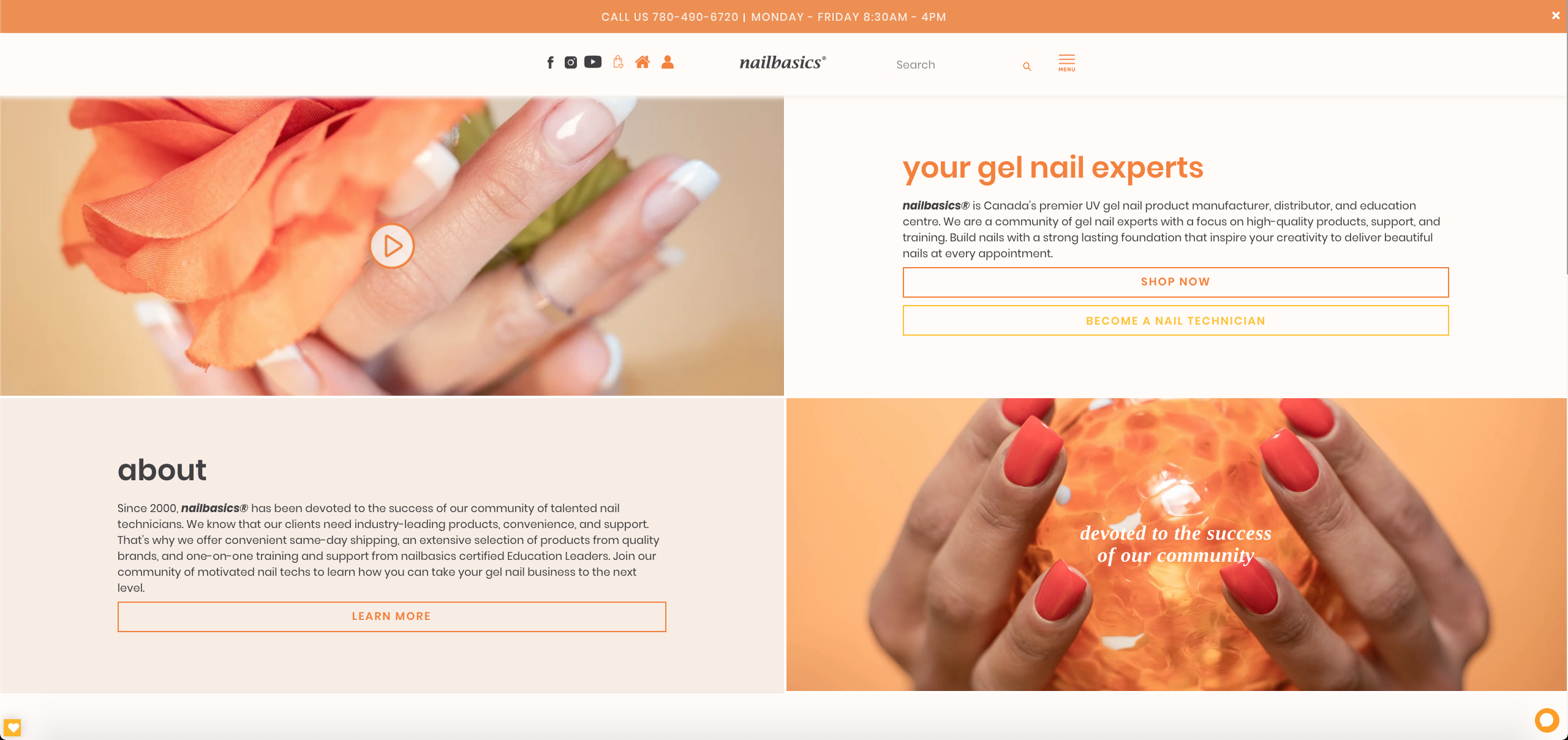 Nail Basics - Website Build screenshot