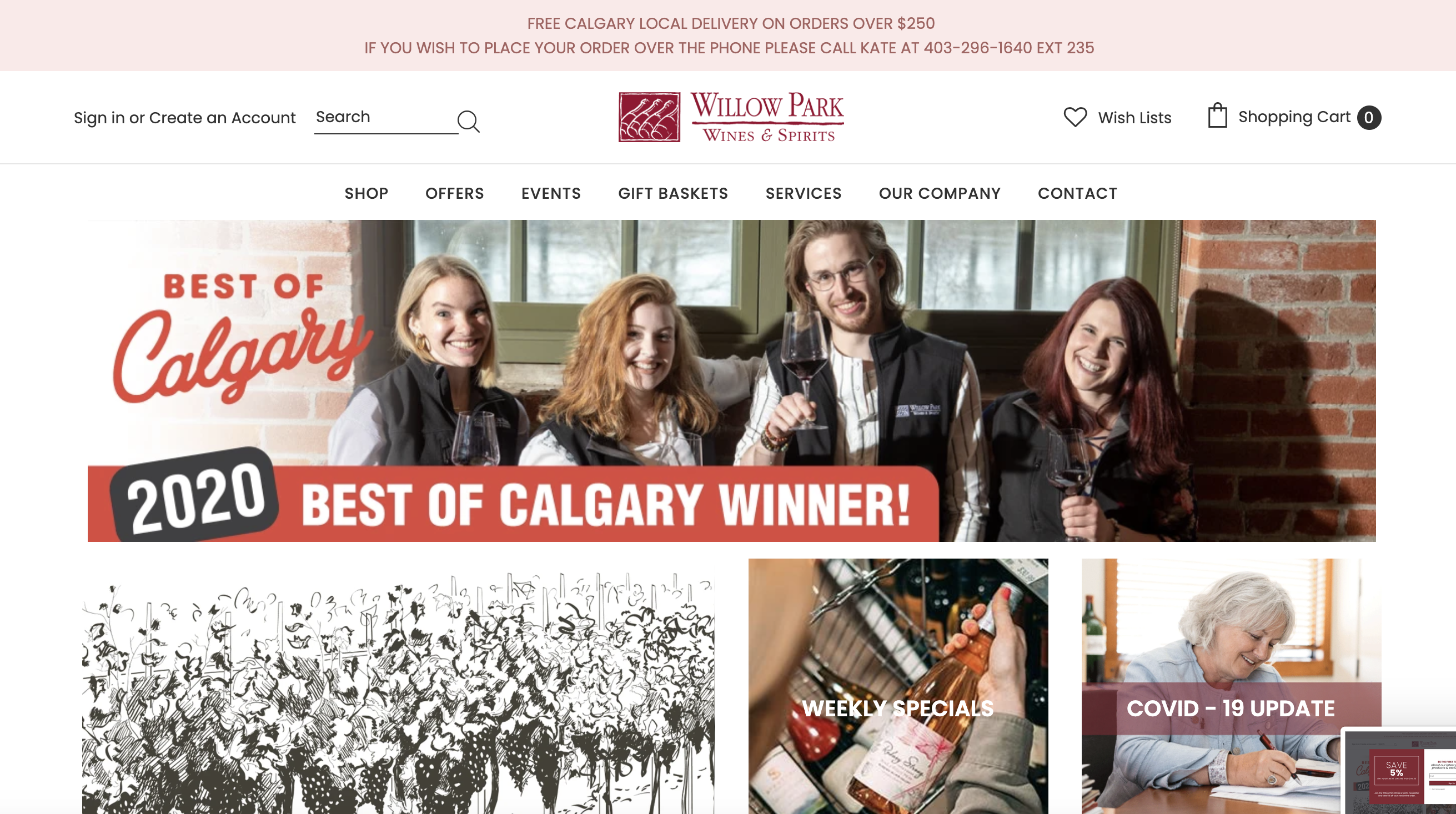 Website, marketing, and custom development screenshot