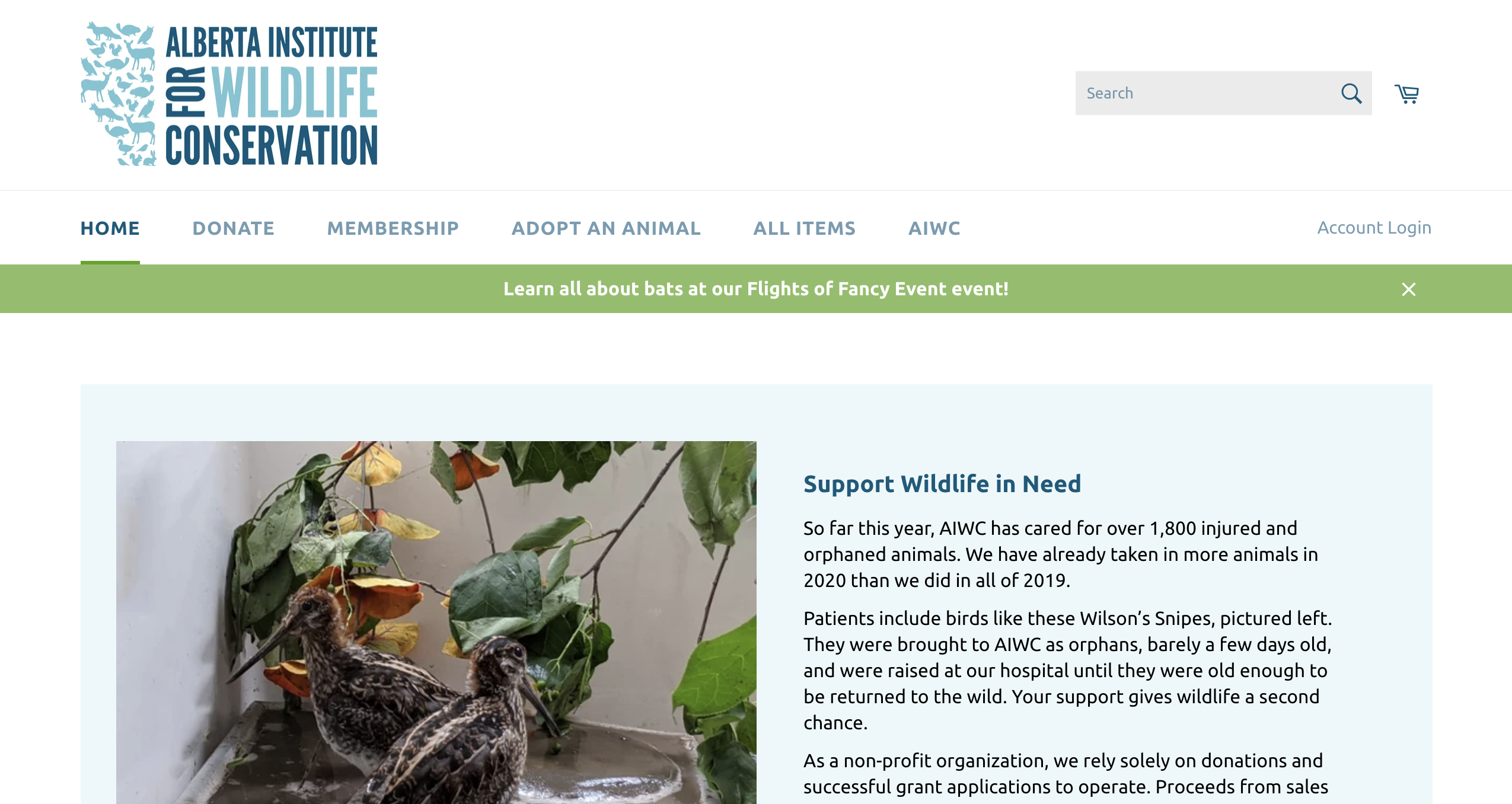 Custom donations flow for non-profit screenshot