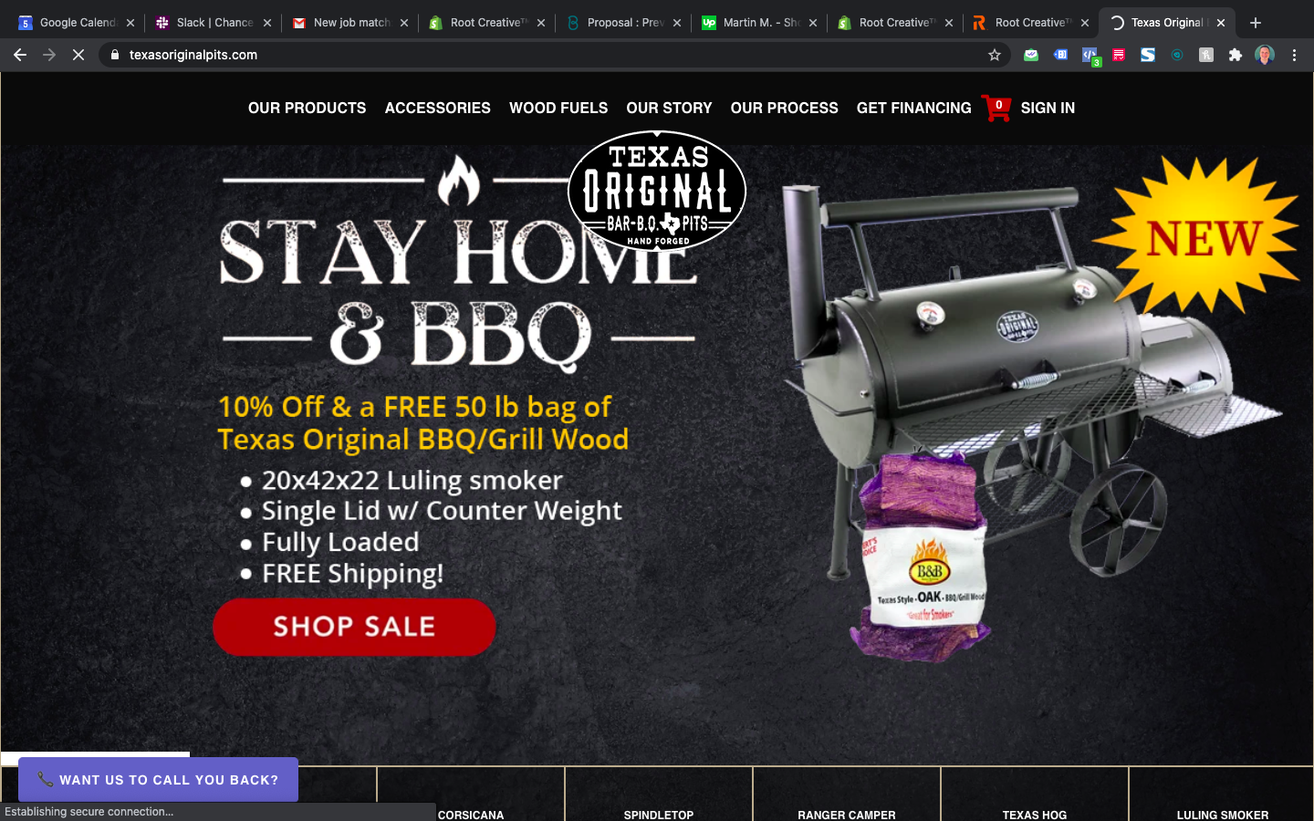 Shopify Web Design screenshot