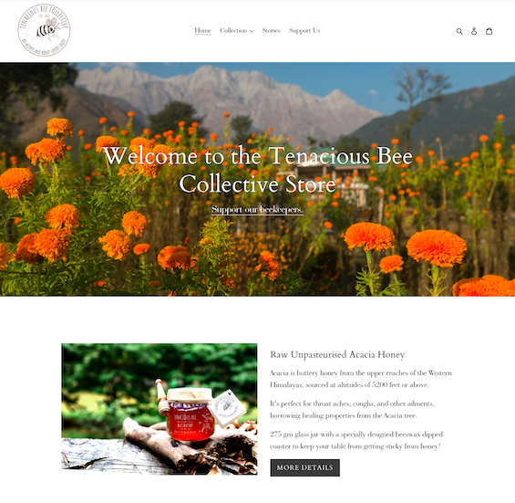 Design and Setup of a User-Friendly Shopify Store