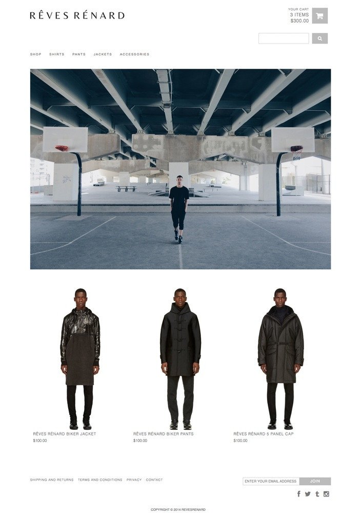 Custom Theme Development screenshot