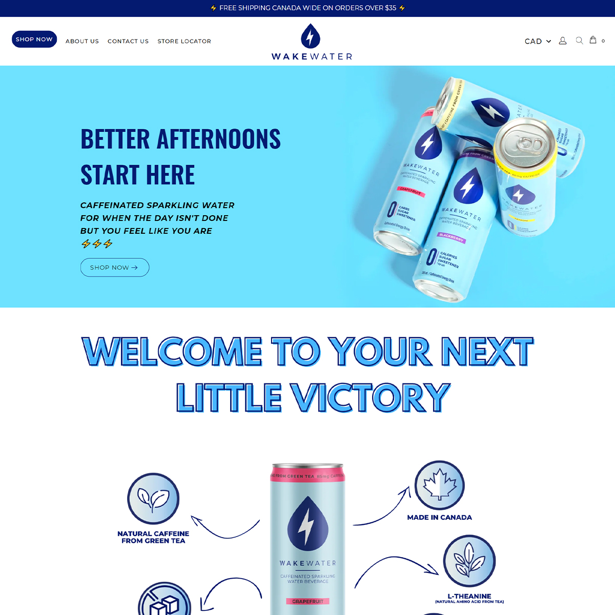 Landing page, Homo page, popup entire site building screenshot