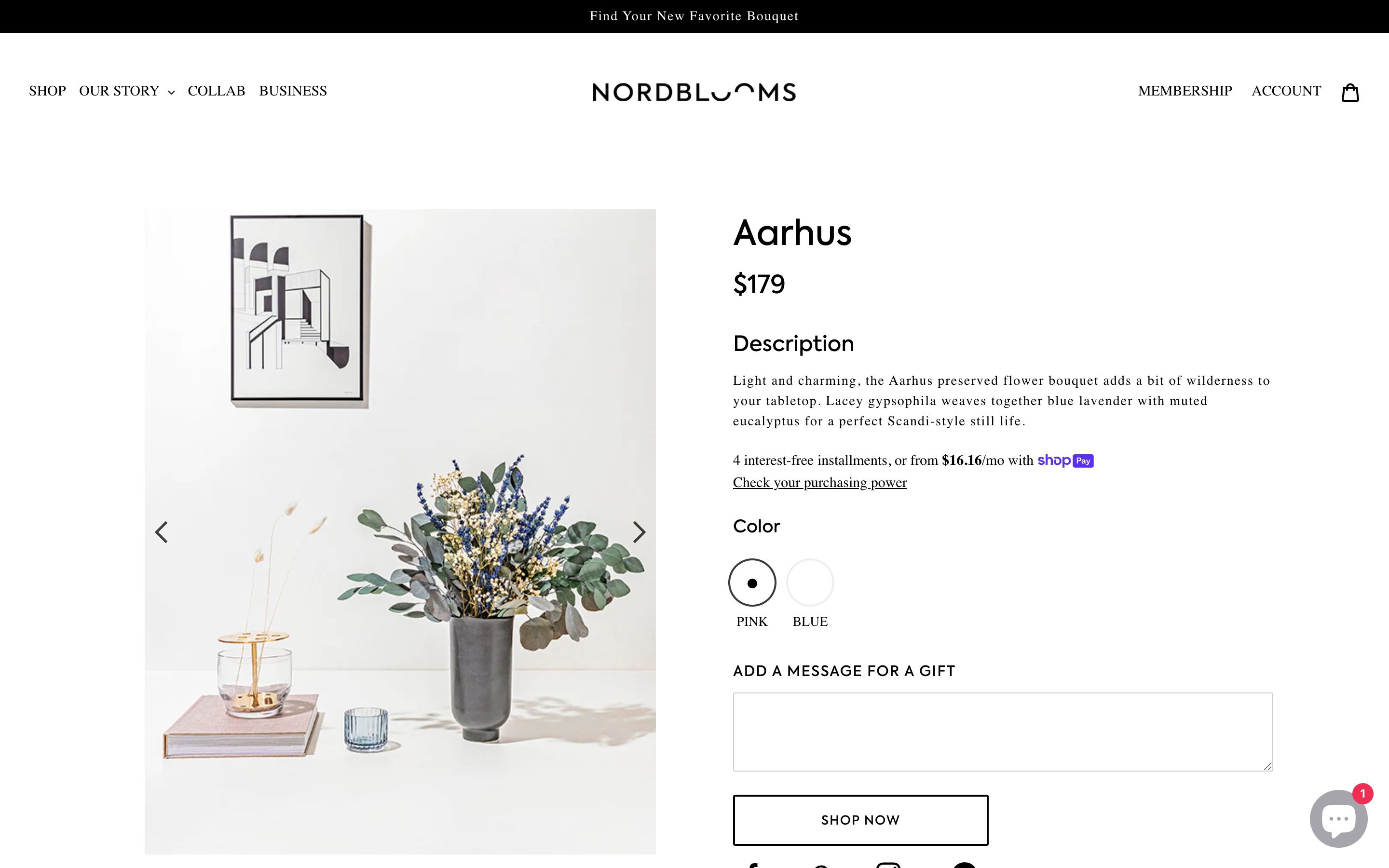 Nordblooms - Preserverd and Dried Flower for your Office and Home screenshot 2