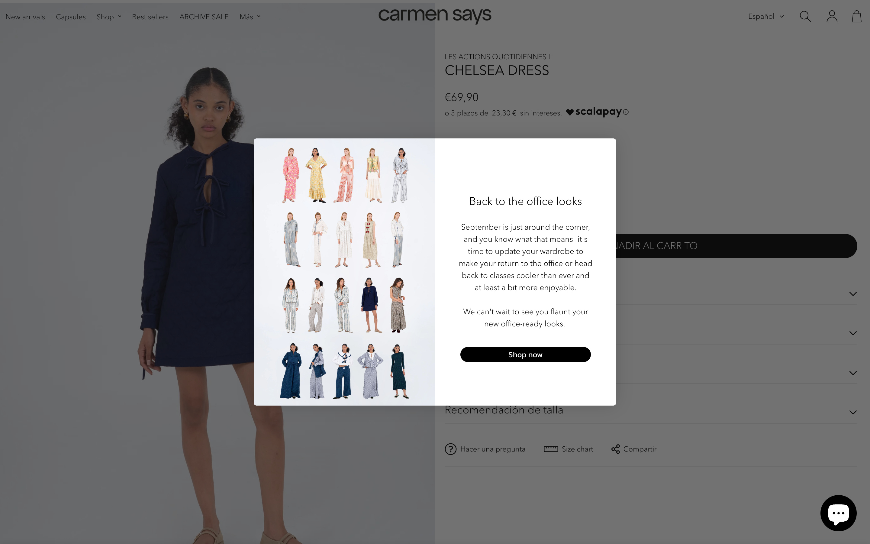 Carmensays screenshot 5