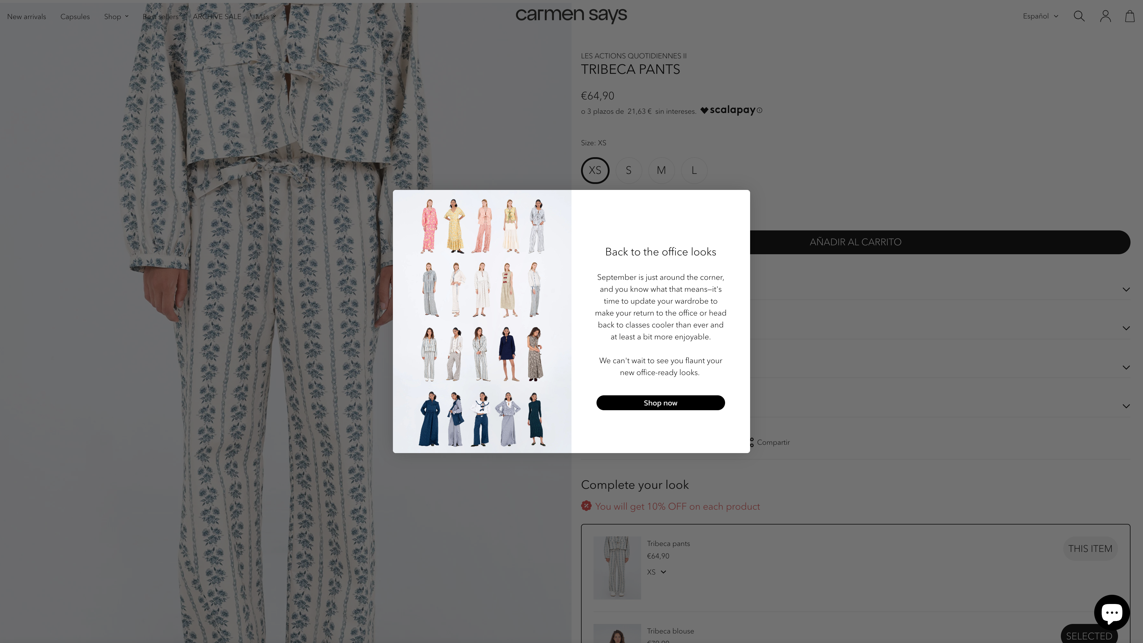 Carmensays screenshot 4