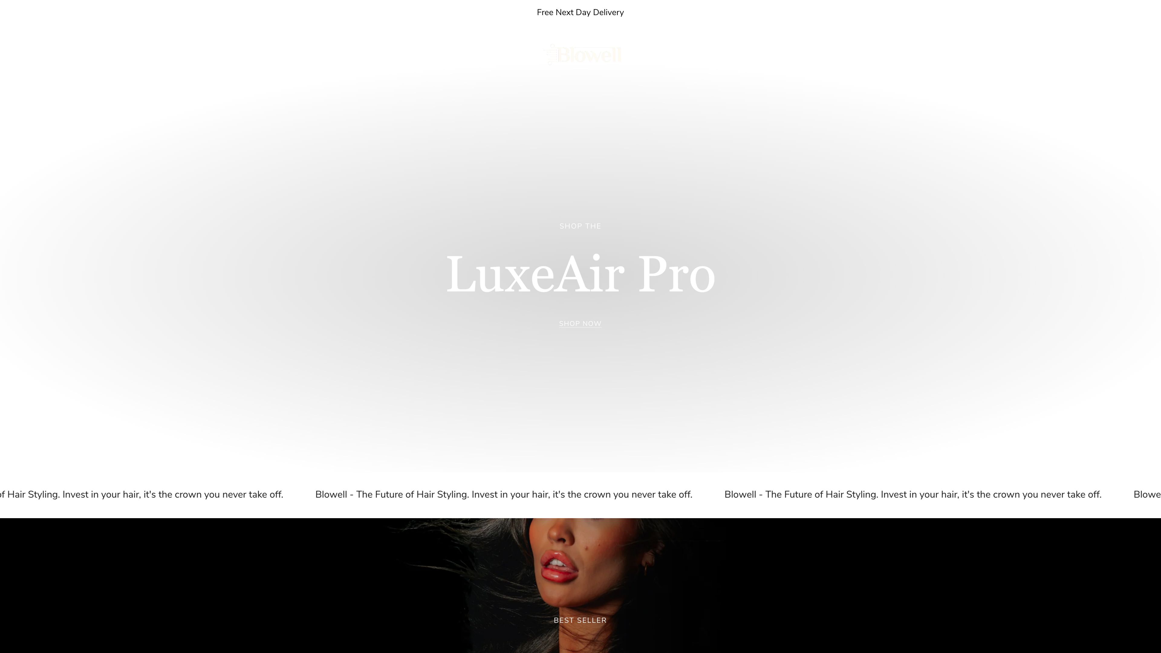 Blowellhair screenshot 3