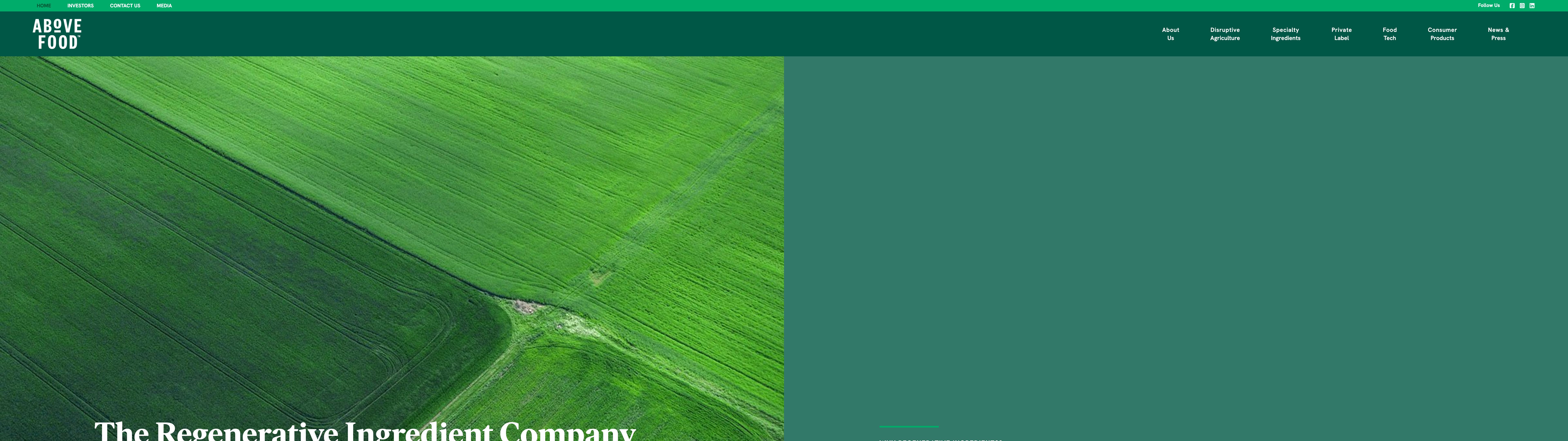 Website Design and Development for Above Food: Merging Creativity and Functionality