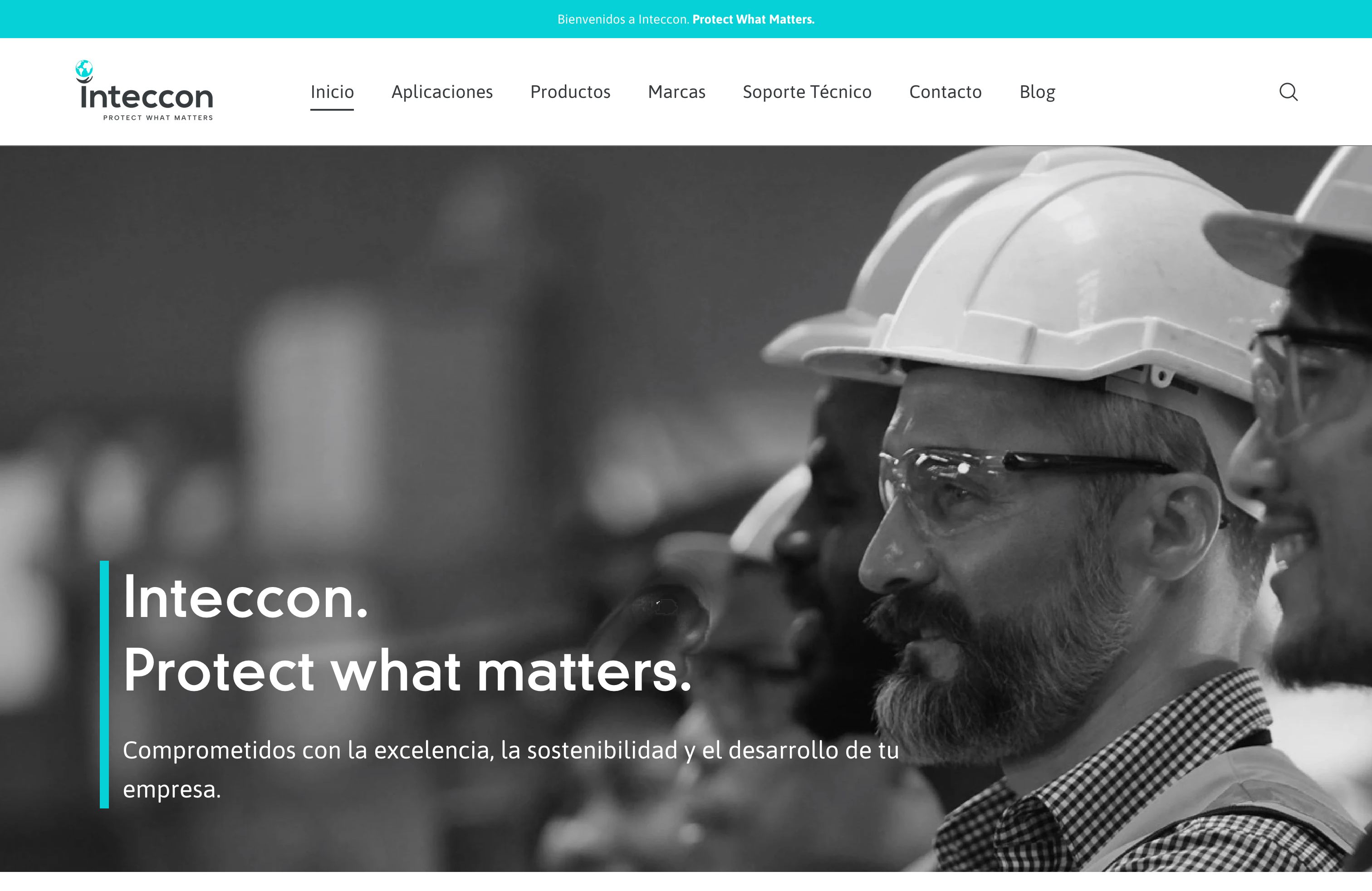 Inteccon screenshot 6