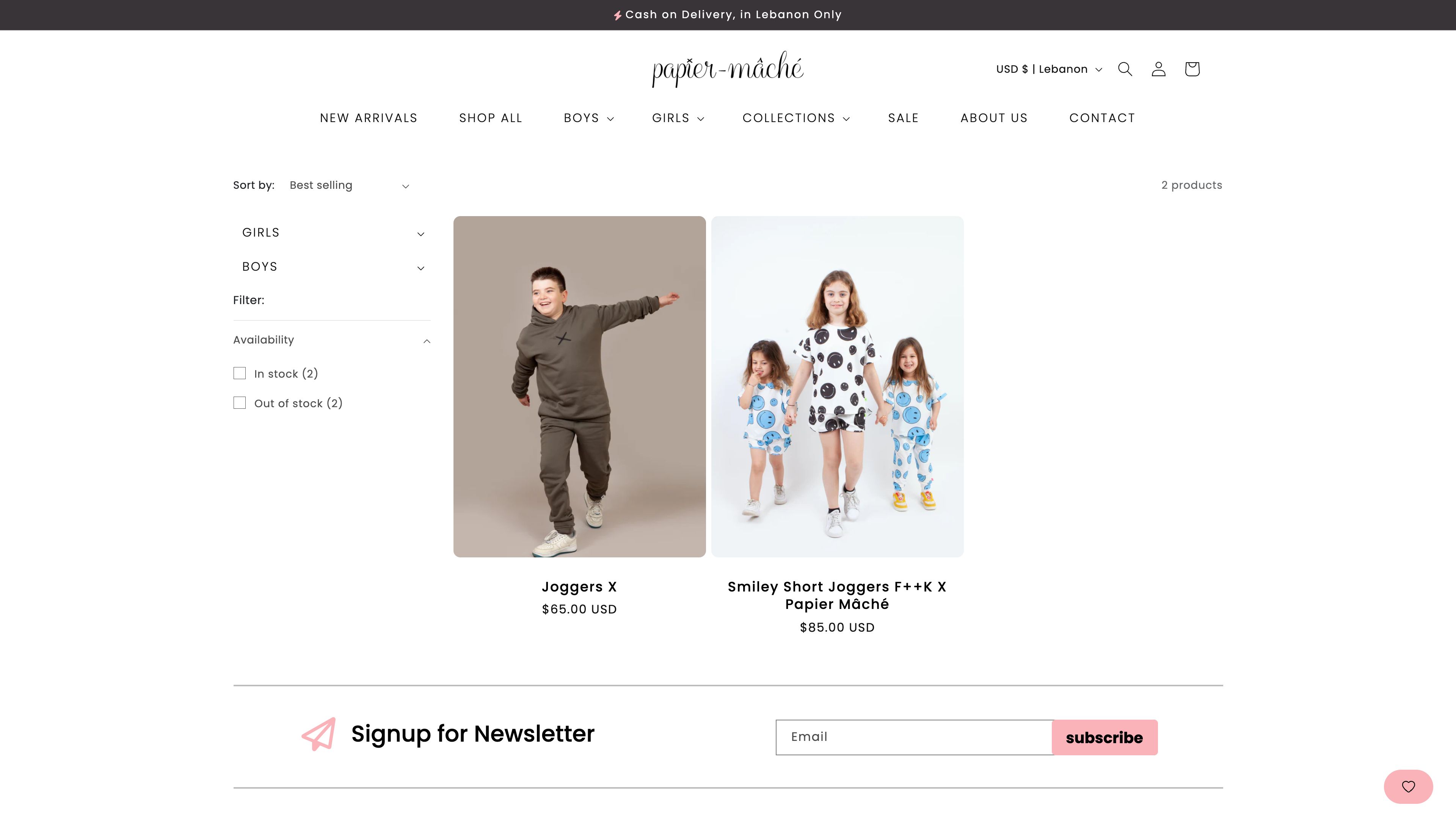 Custom Shopify Website Design & Development for Papier Mâché Clothing Store