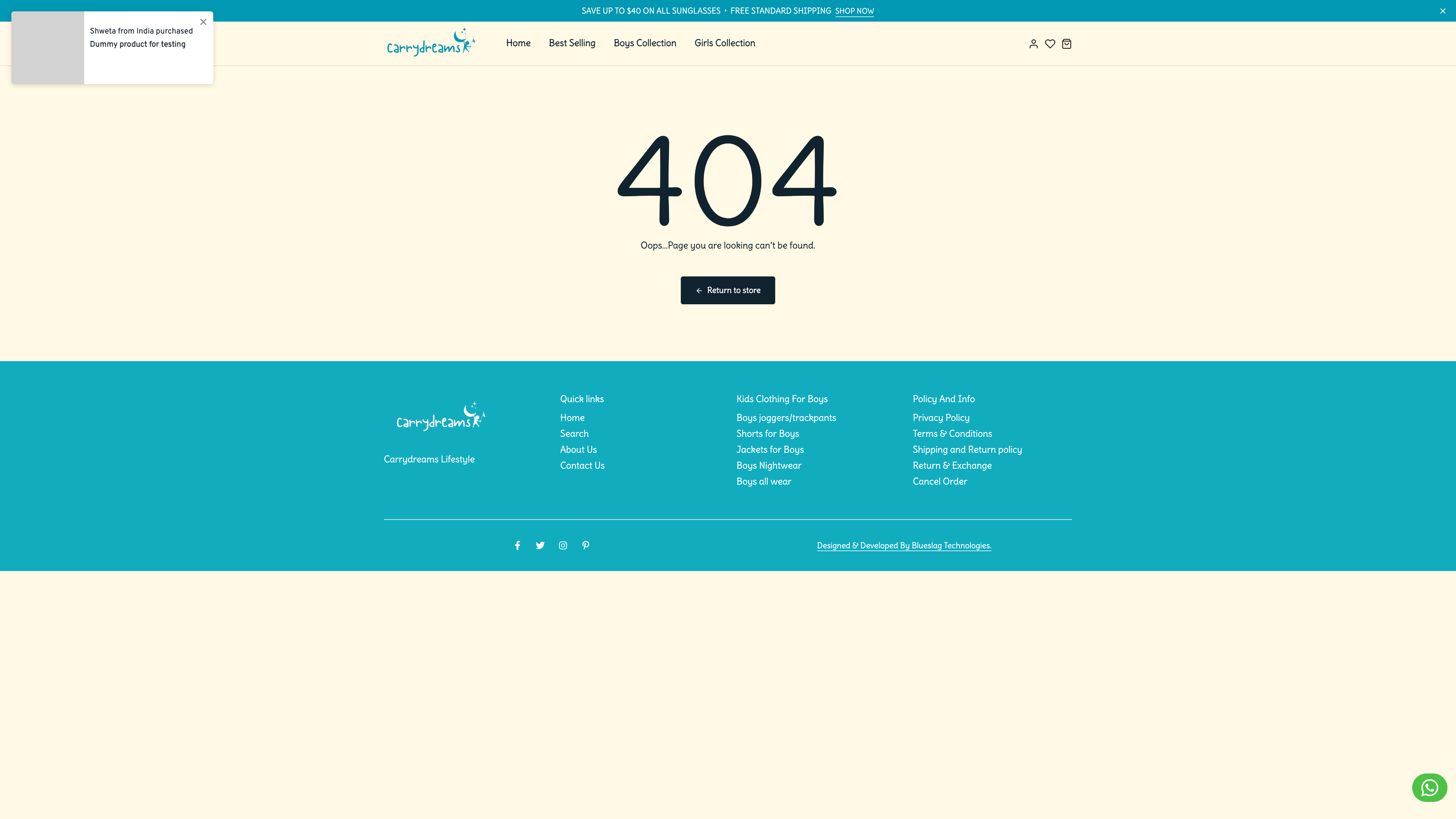 carrydreams screenshot