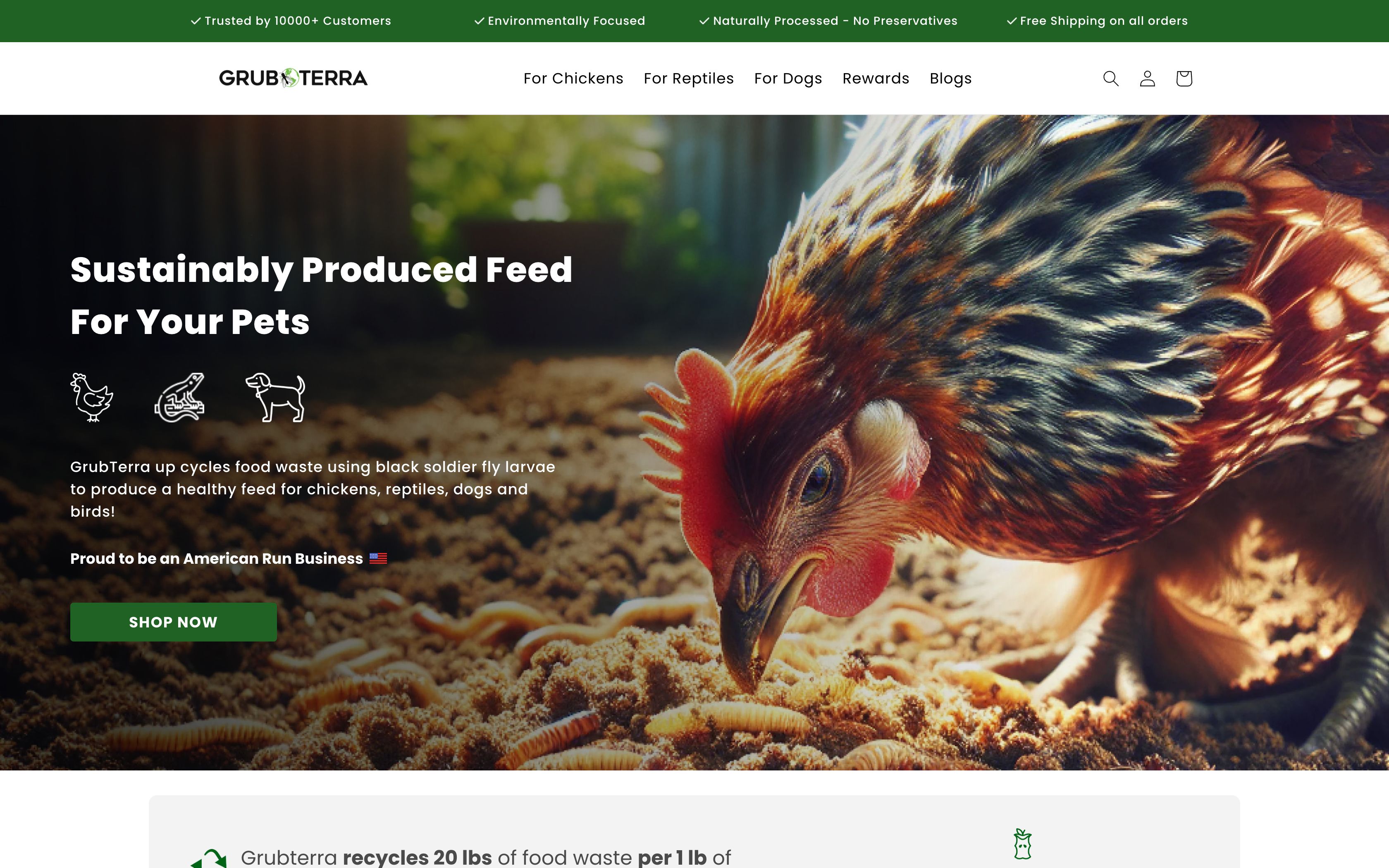Grubterra | Figma to Shopify conversion screenshot 5