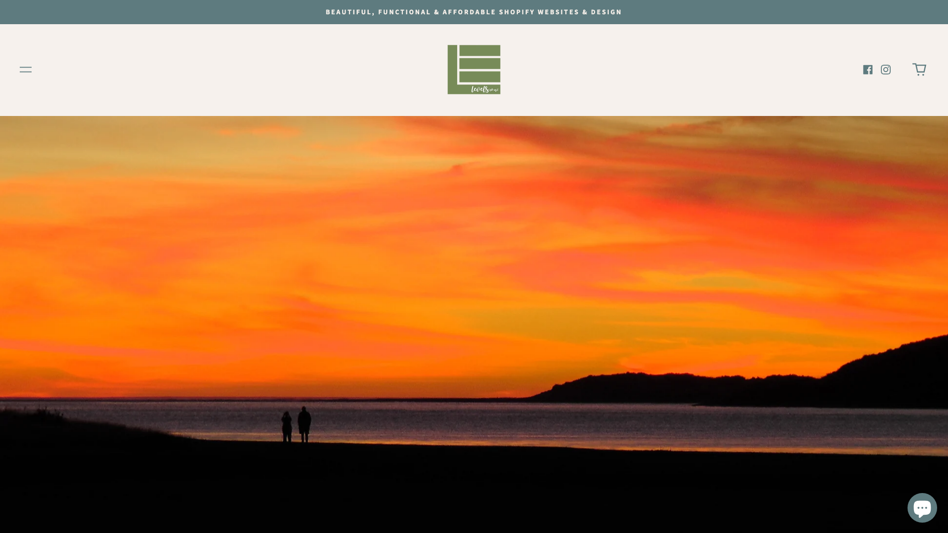 Shopify Design & Development Projects 2024 screenshot