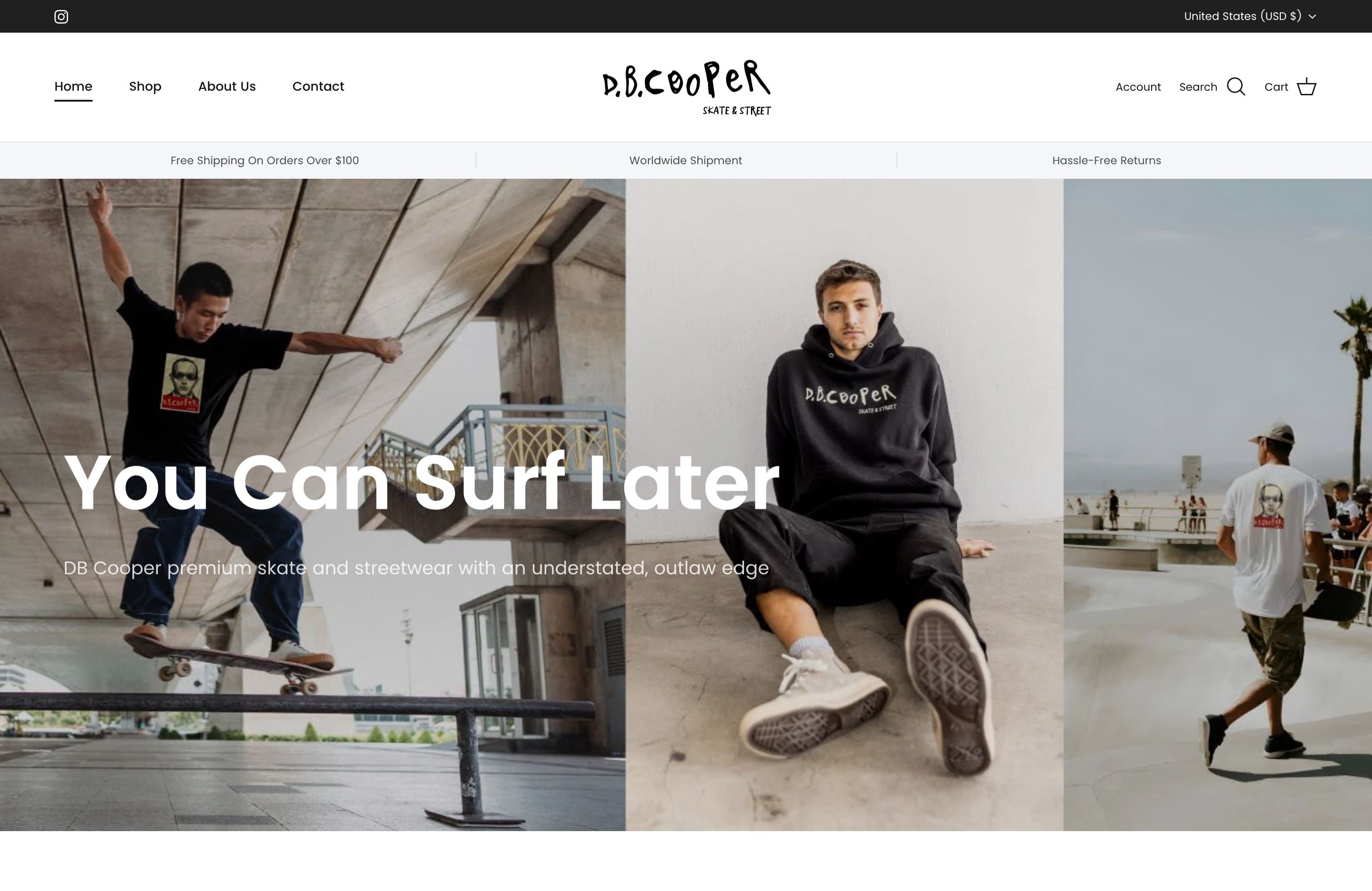 DB Cooper Skate Shopify Store screenshot 4