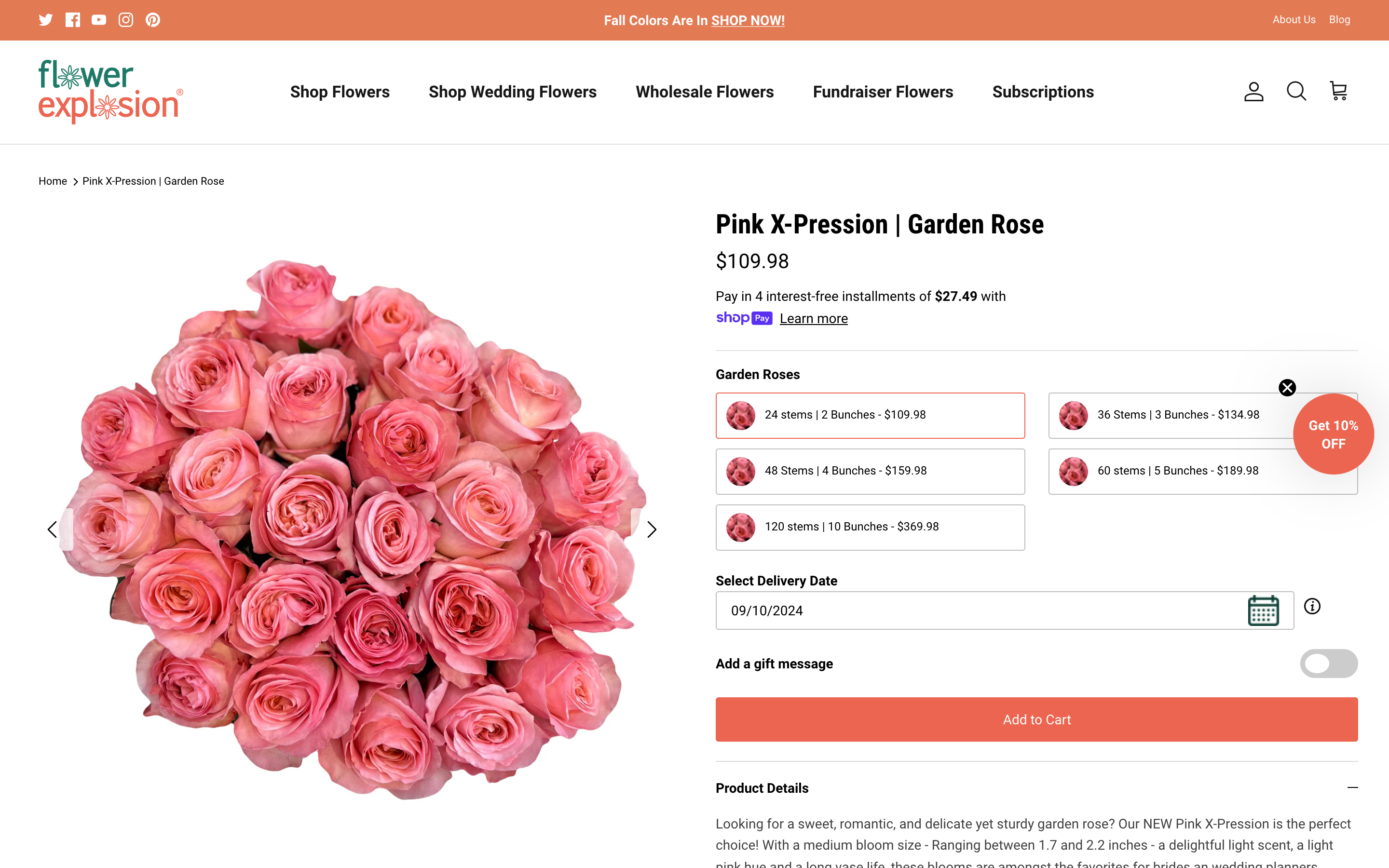 Website Migration screenshot 4