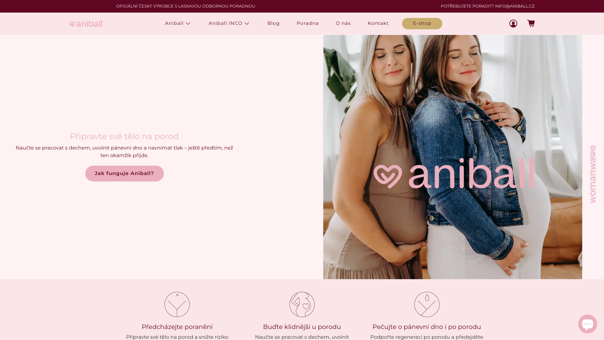ANIBALL