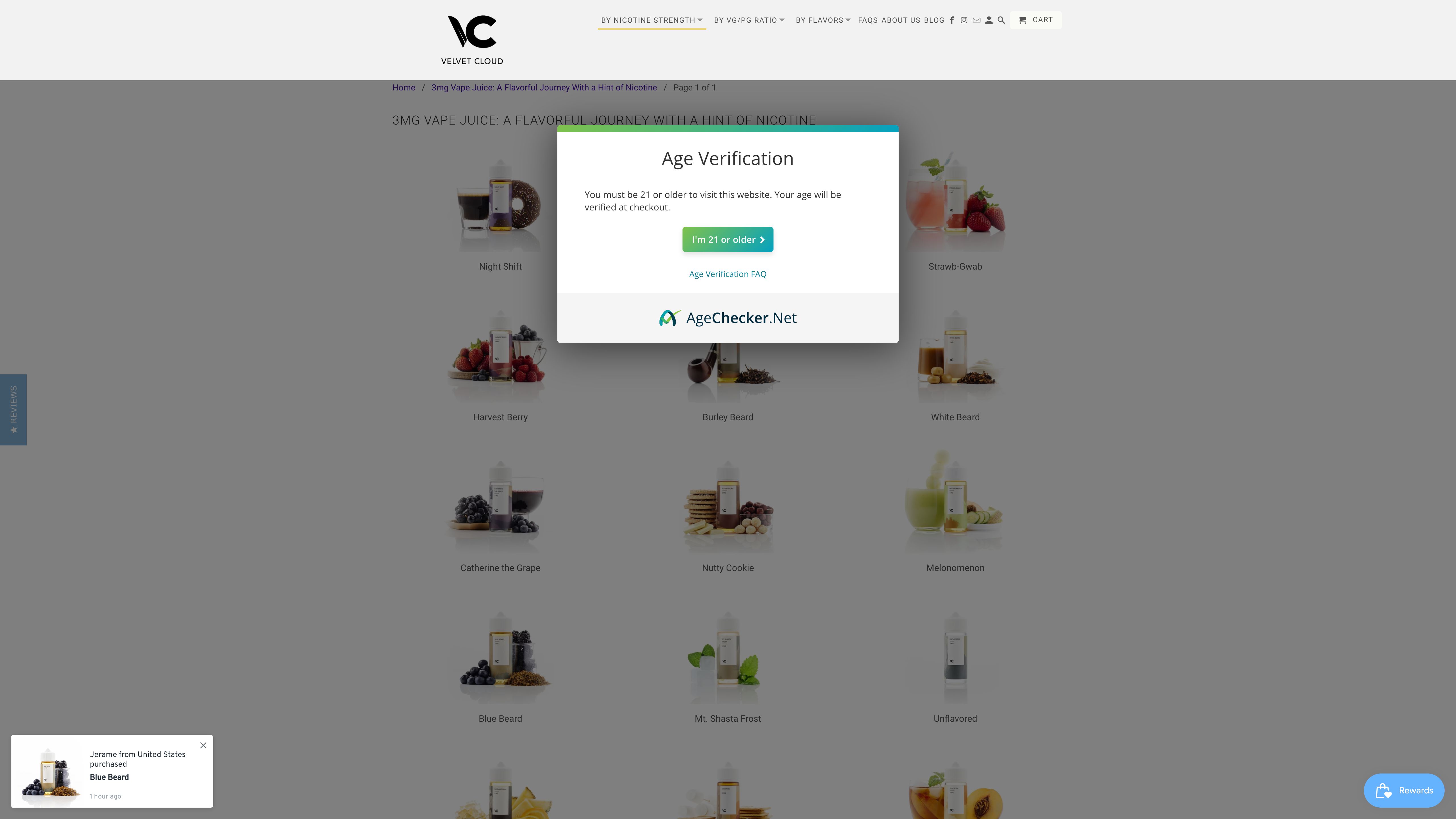 Velvet Cloud - Custom Design & Search Engine Optimization Success screenshot 3