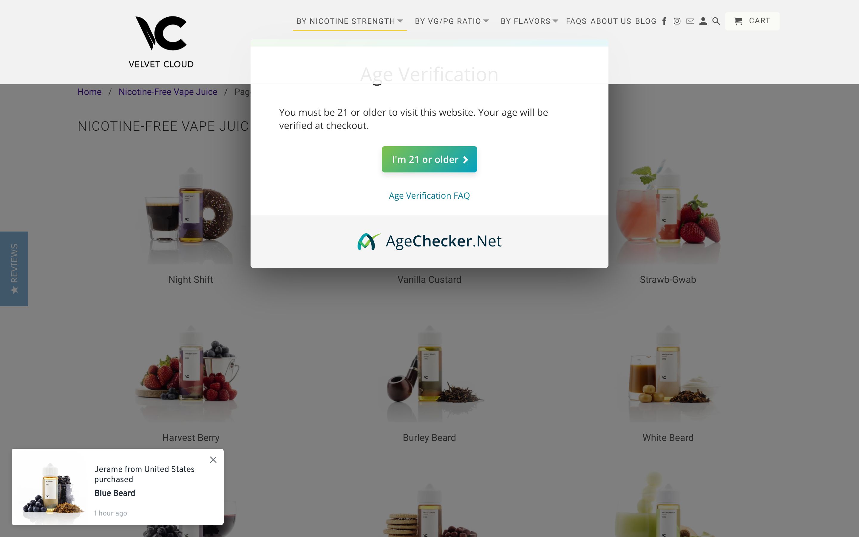 Velvet Cloud - Custom Design & Search Engine Optimization Success screenshot 2