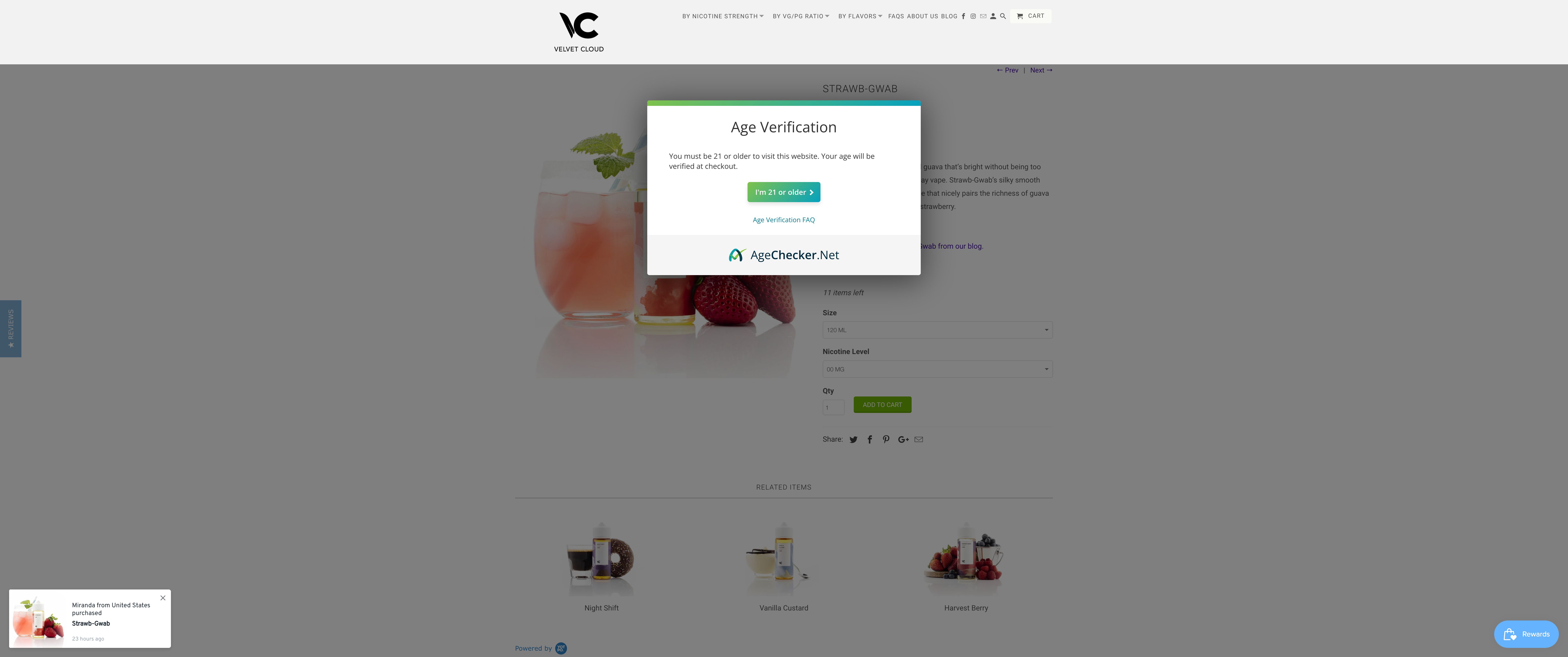 Velvet Cloud - Custom Design & Search Engine Optimization Success screenshot 6