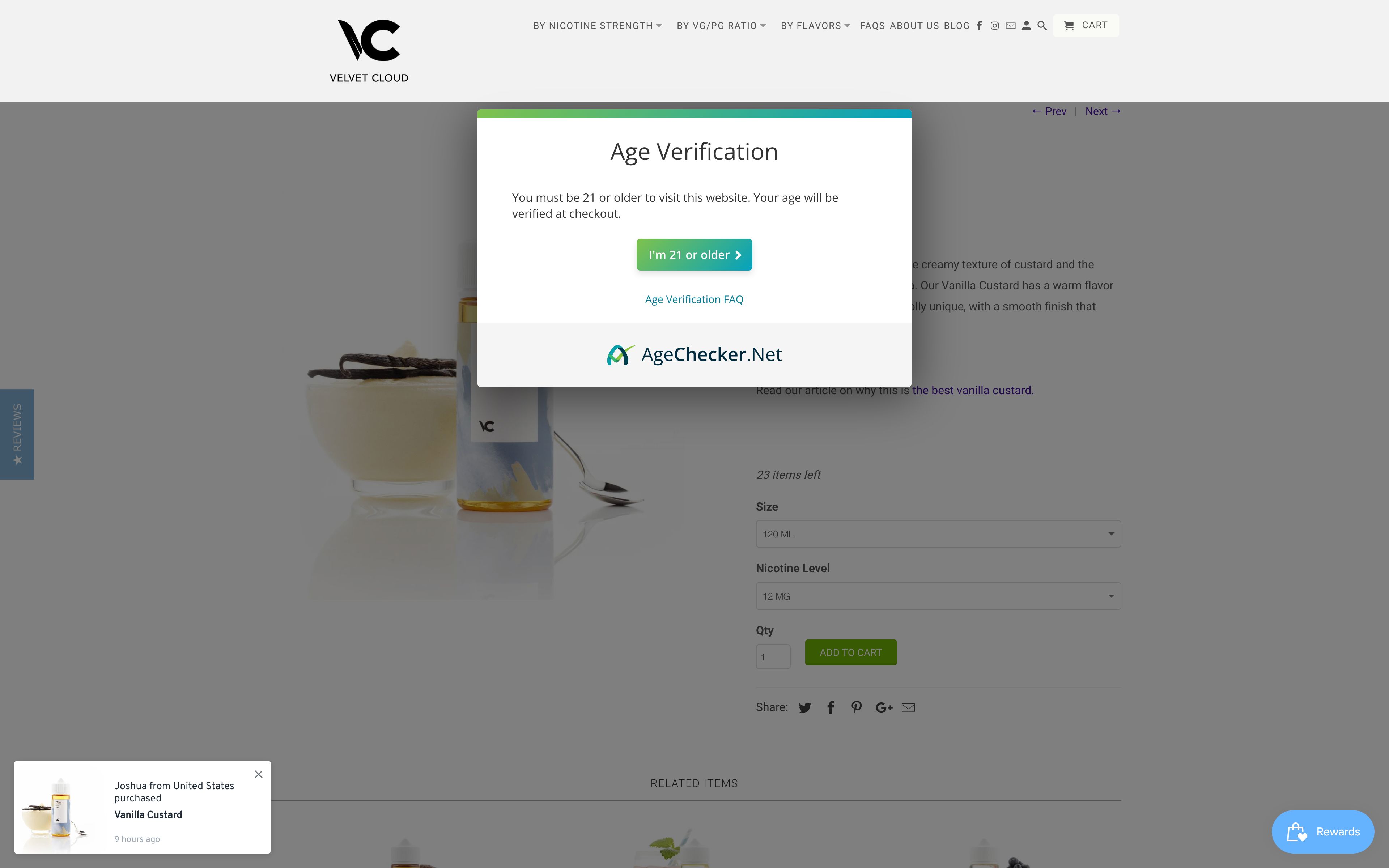 Velvet Cloud - Custom Design & Search Engine Optimization Success screenshot 4