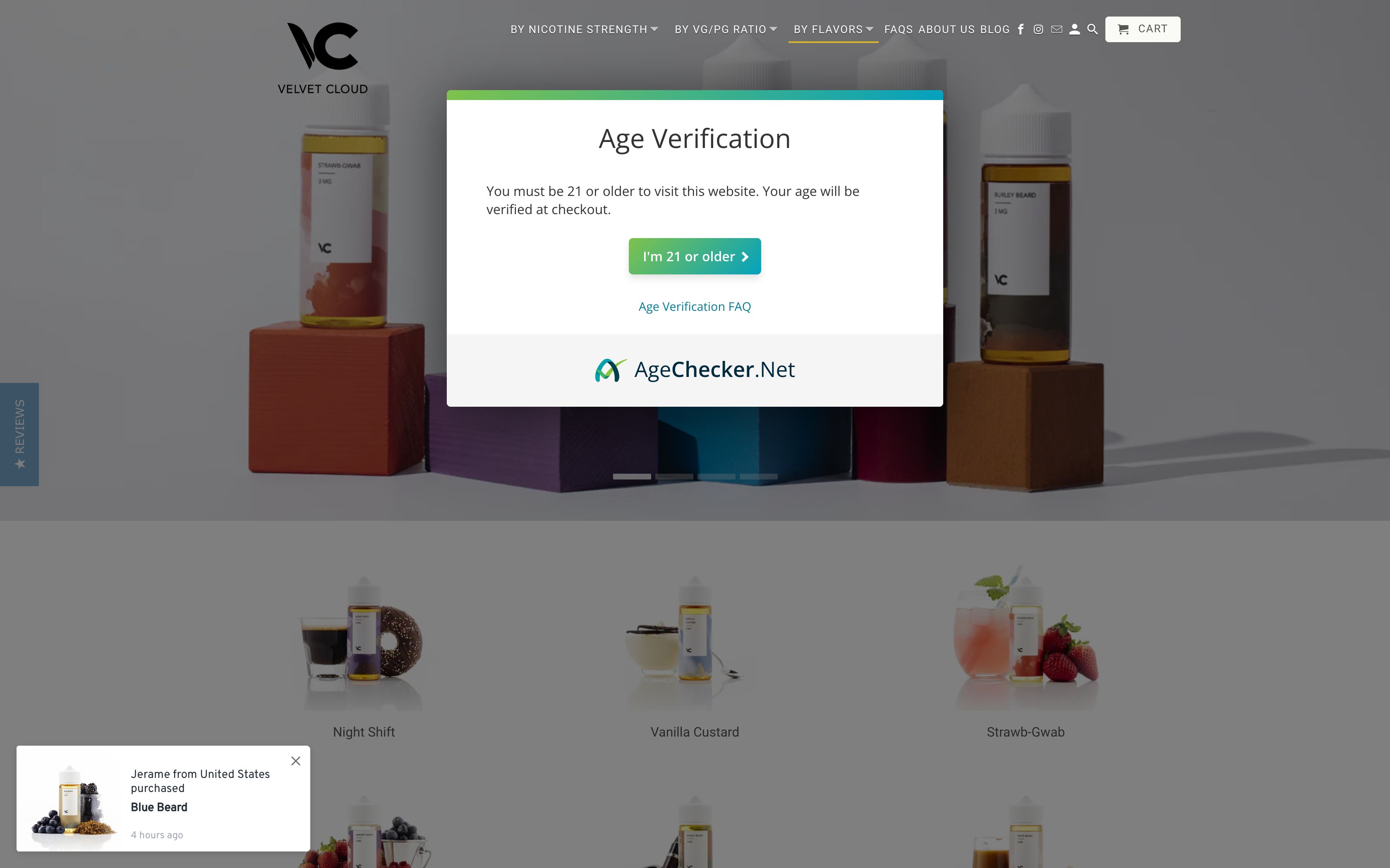 Velvet Cloud - Custom Design & Search Engine Optimization Success screenshot 7