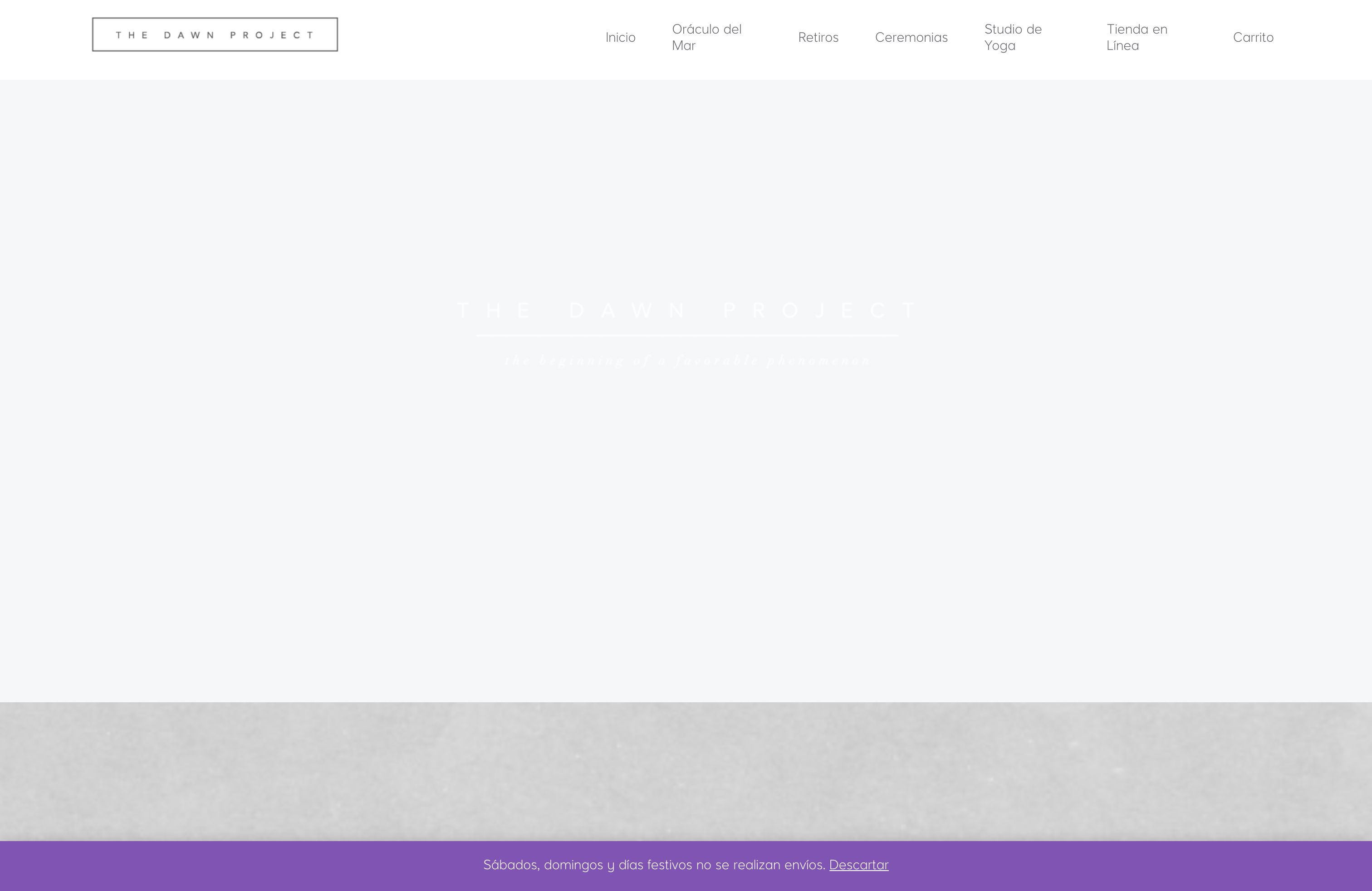 The Dawn Project  screenshot