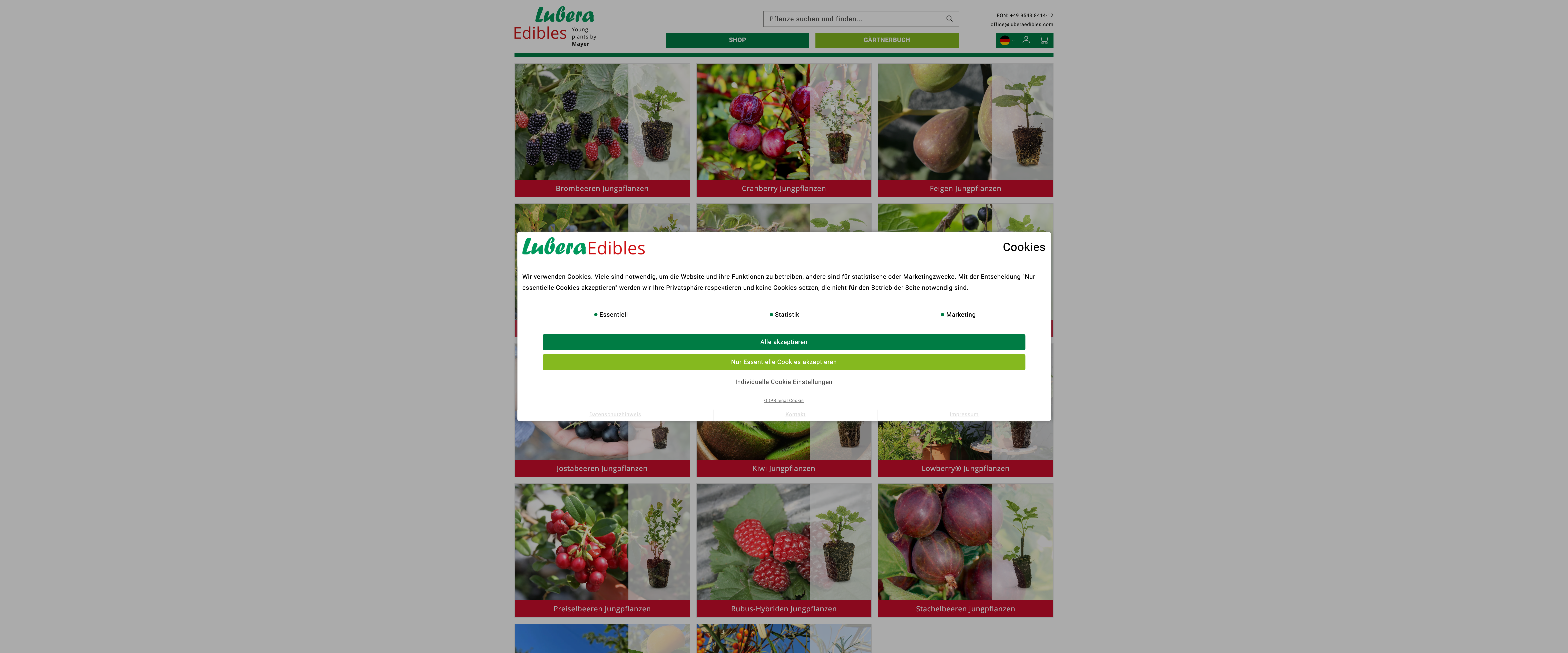 B2B: Komplexe ERP-Schnittstelle - luberaedibles.com screenshot 4