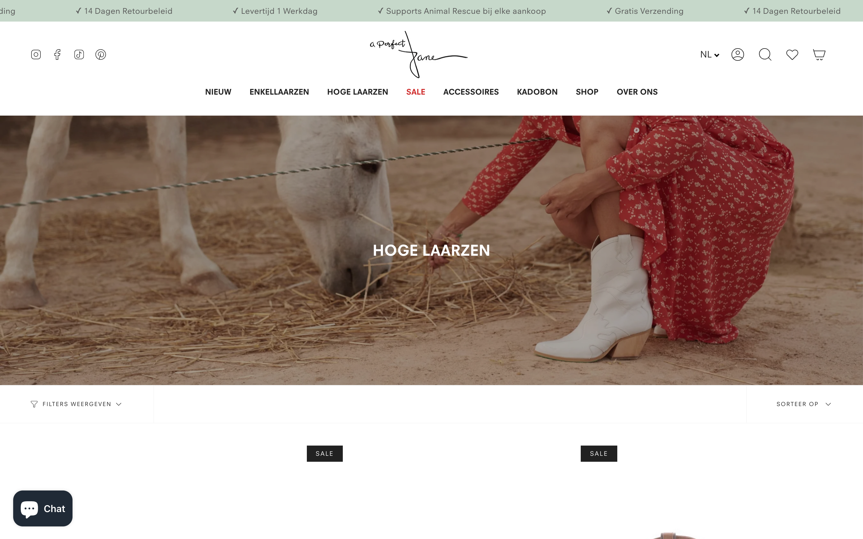 A Perfect Jane screenshot 4