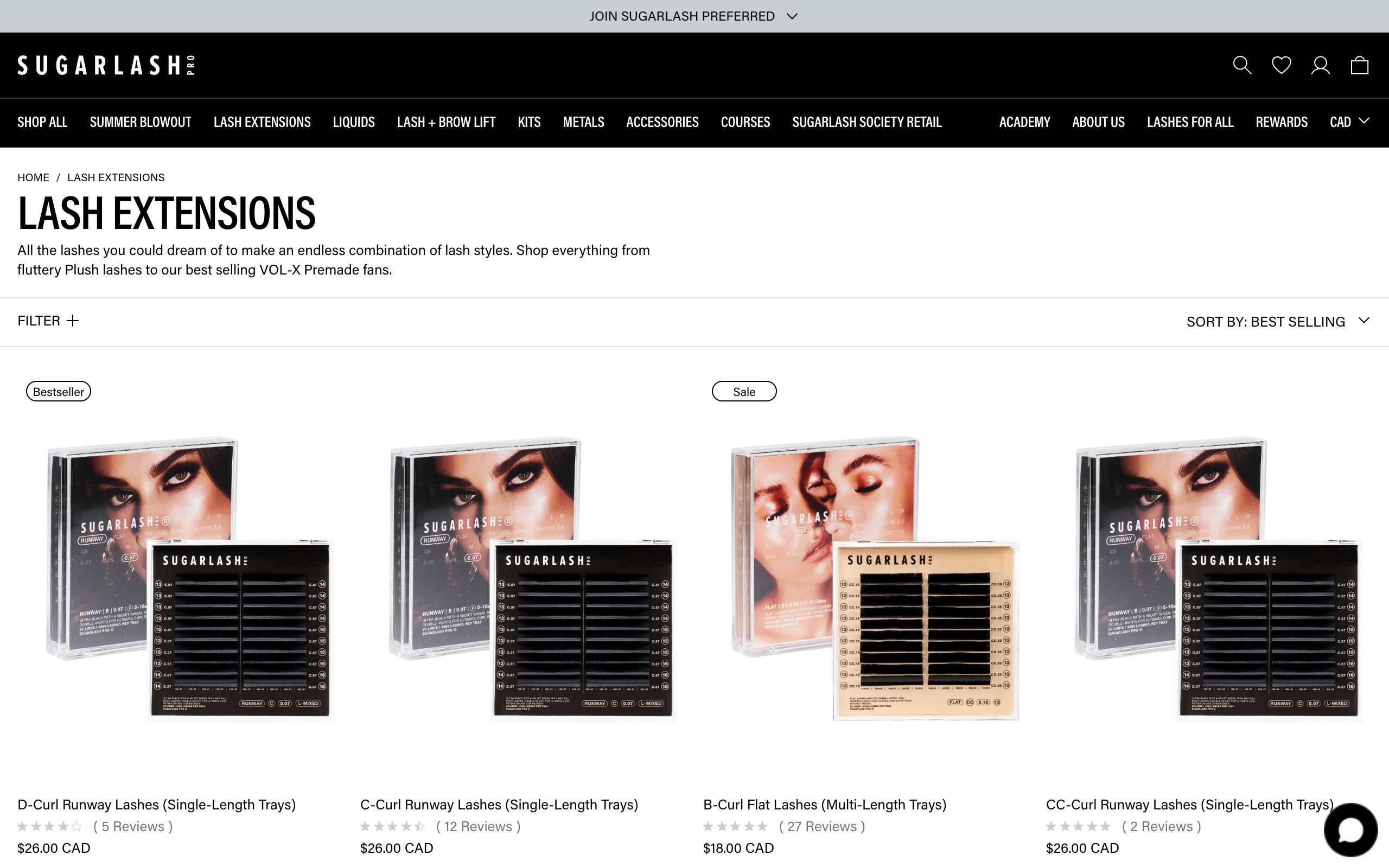 Sugarlash Pro Custom Development & Course Integration Project screenshot