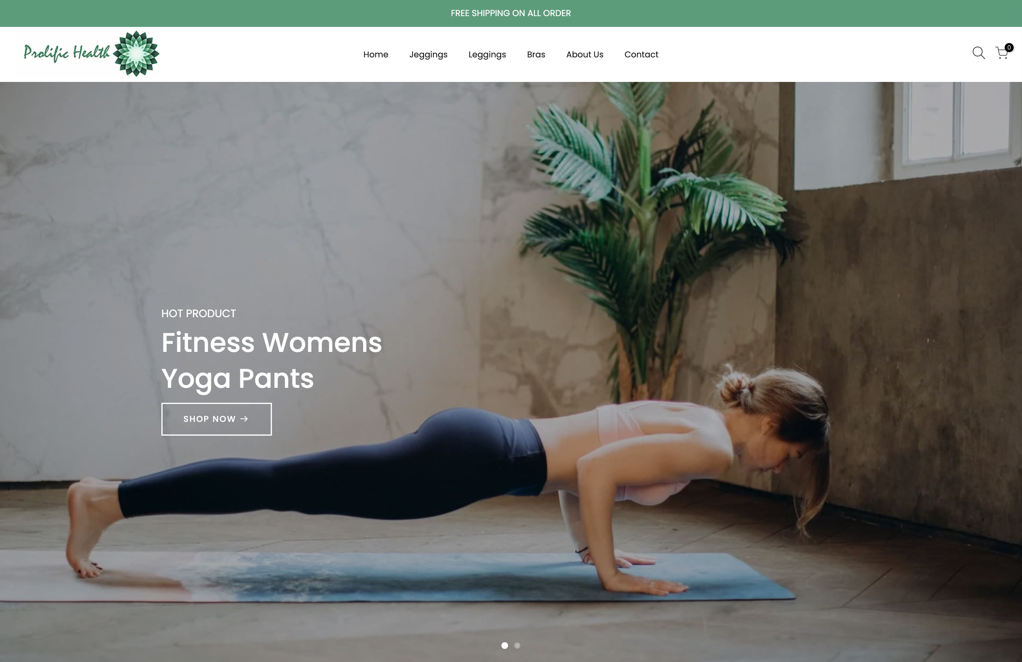 Comprehensive Shopify Setup & Customization for Prolific Health