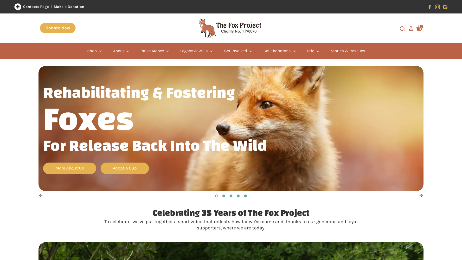 The Fox Project
