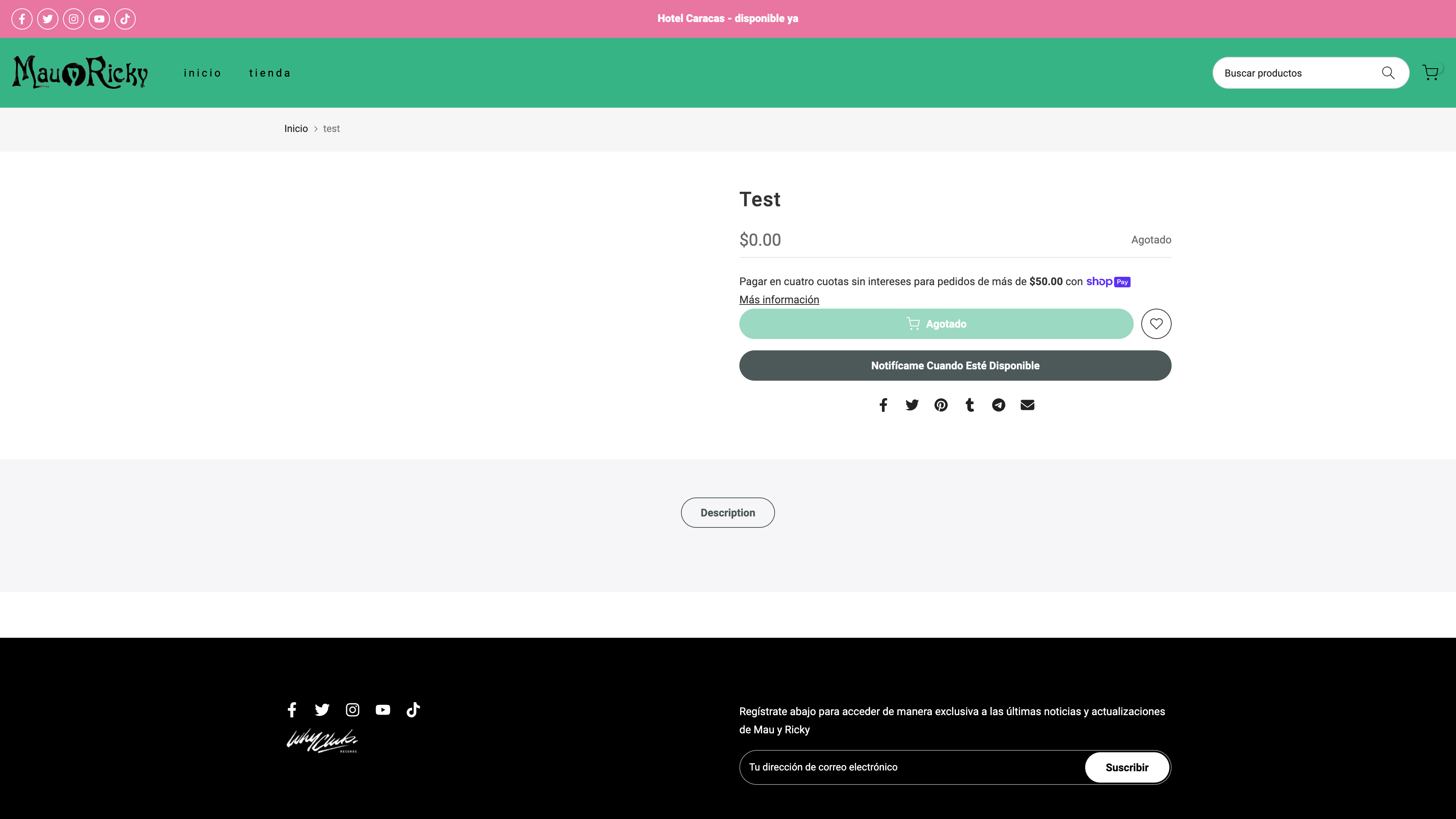 Website Design and Development for Mau y Ricky