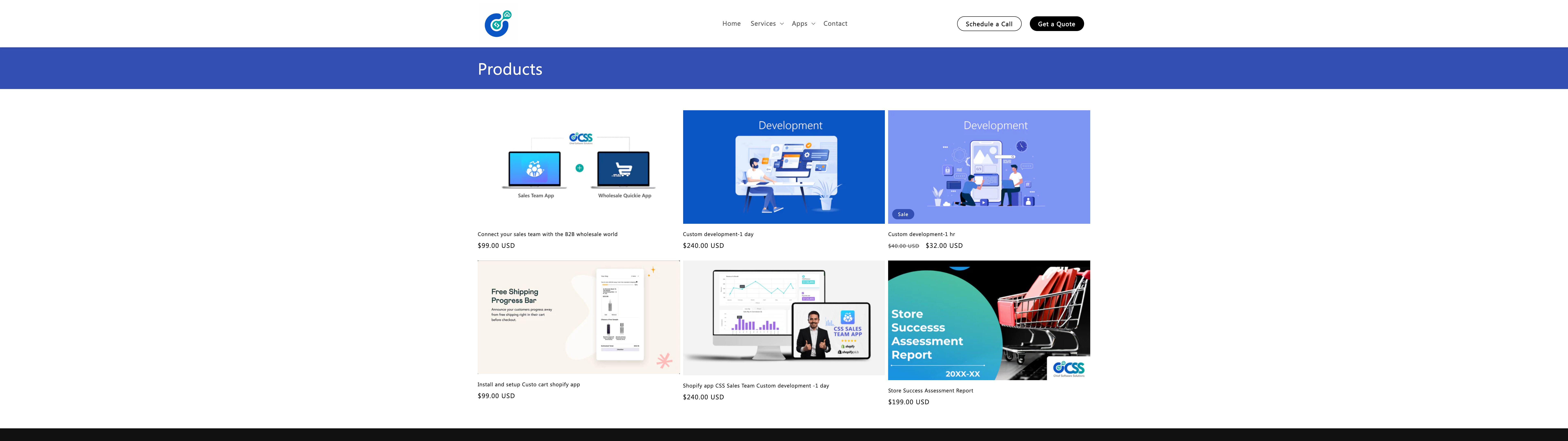 CSS Services screenshot