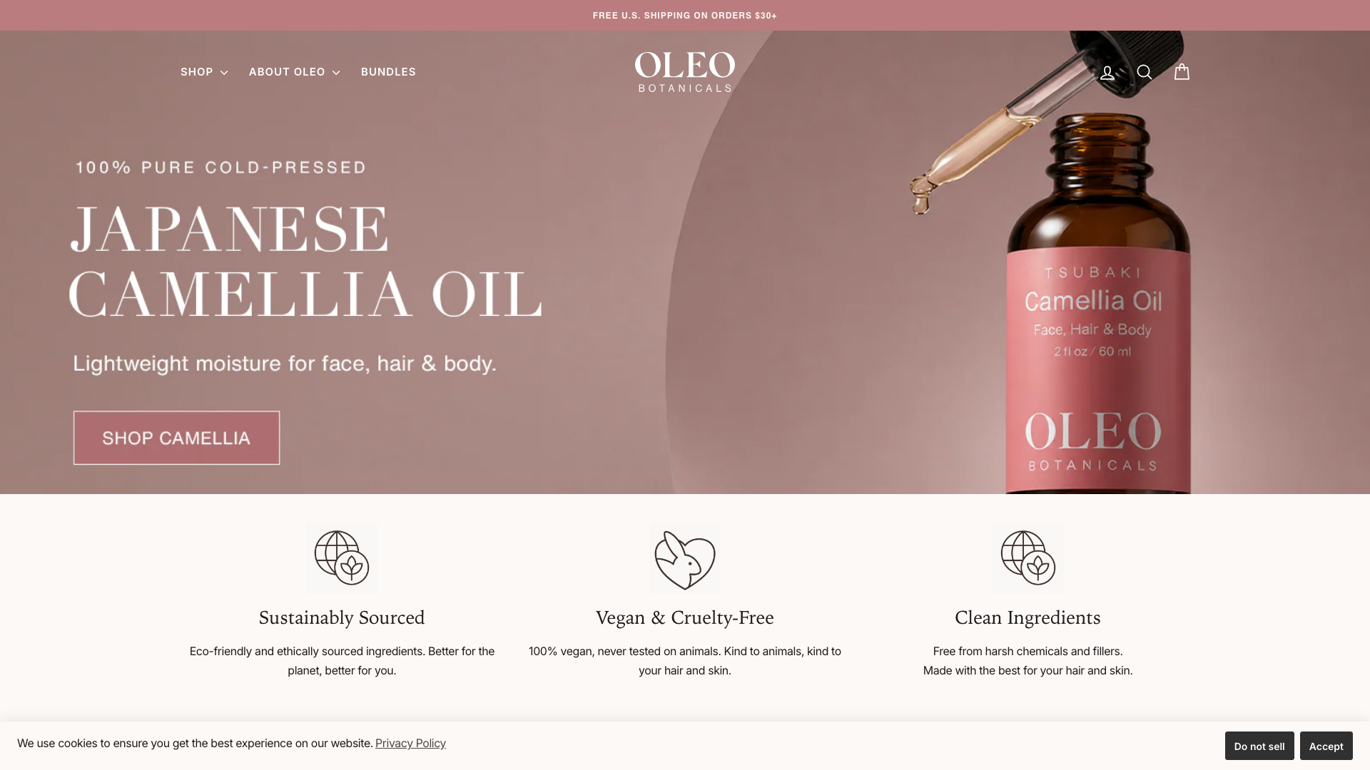 Shopify Store setup screenshot