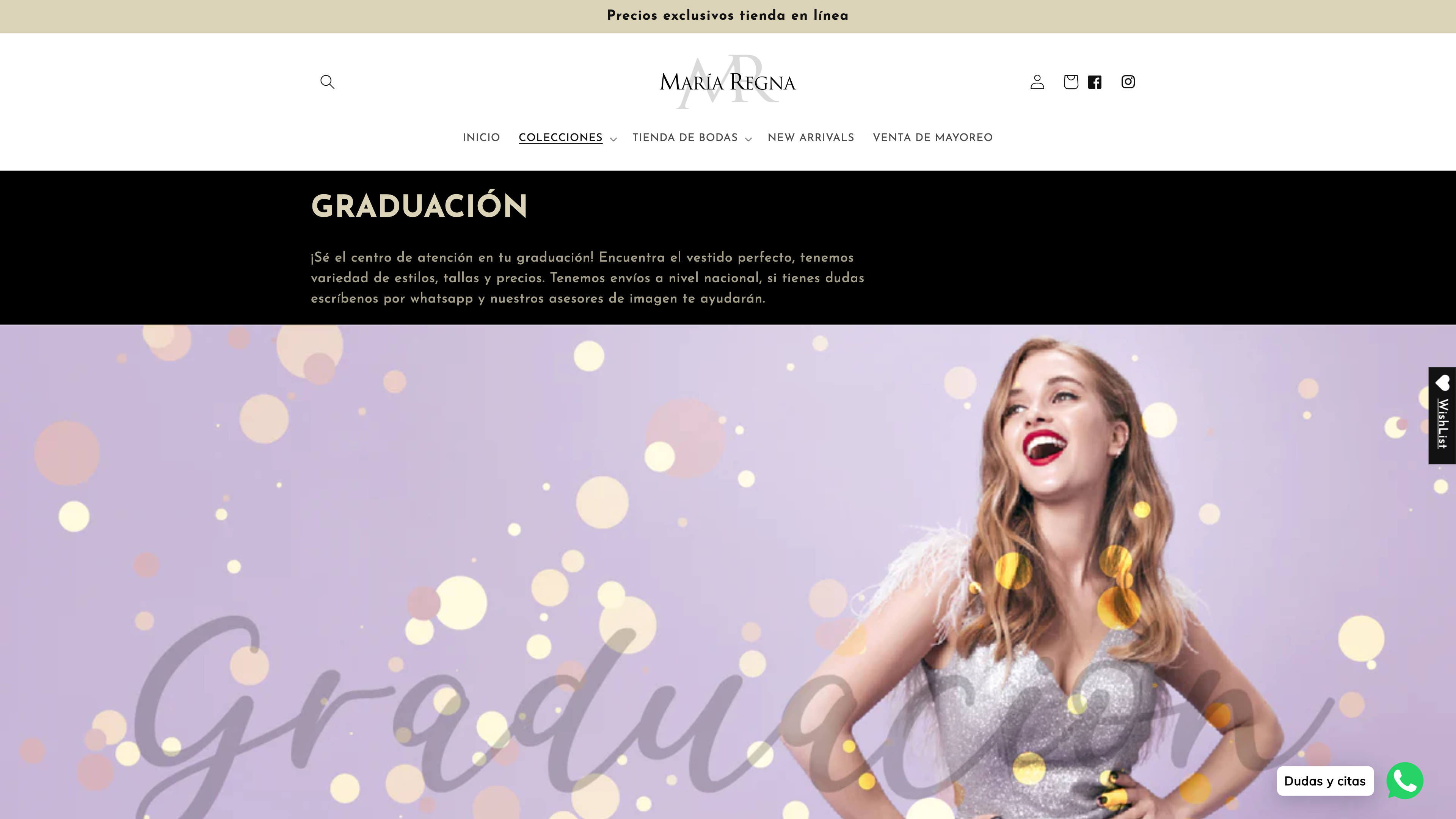 Desarrollo de tienda Boutique María Regna y soporte screenshot