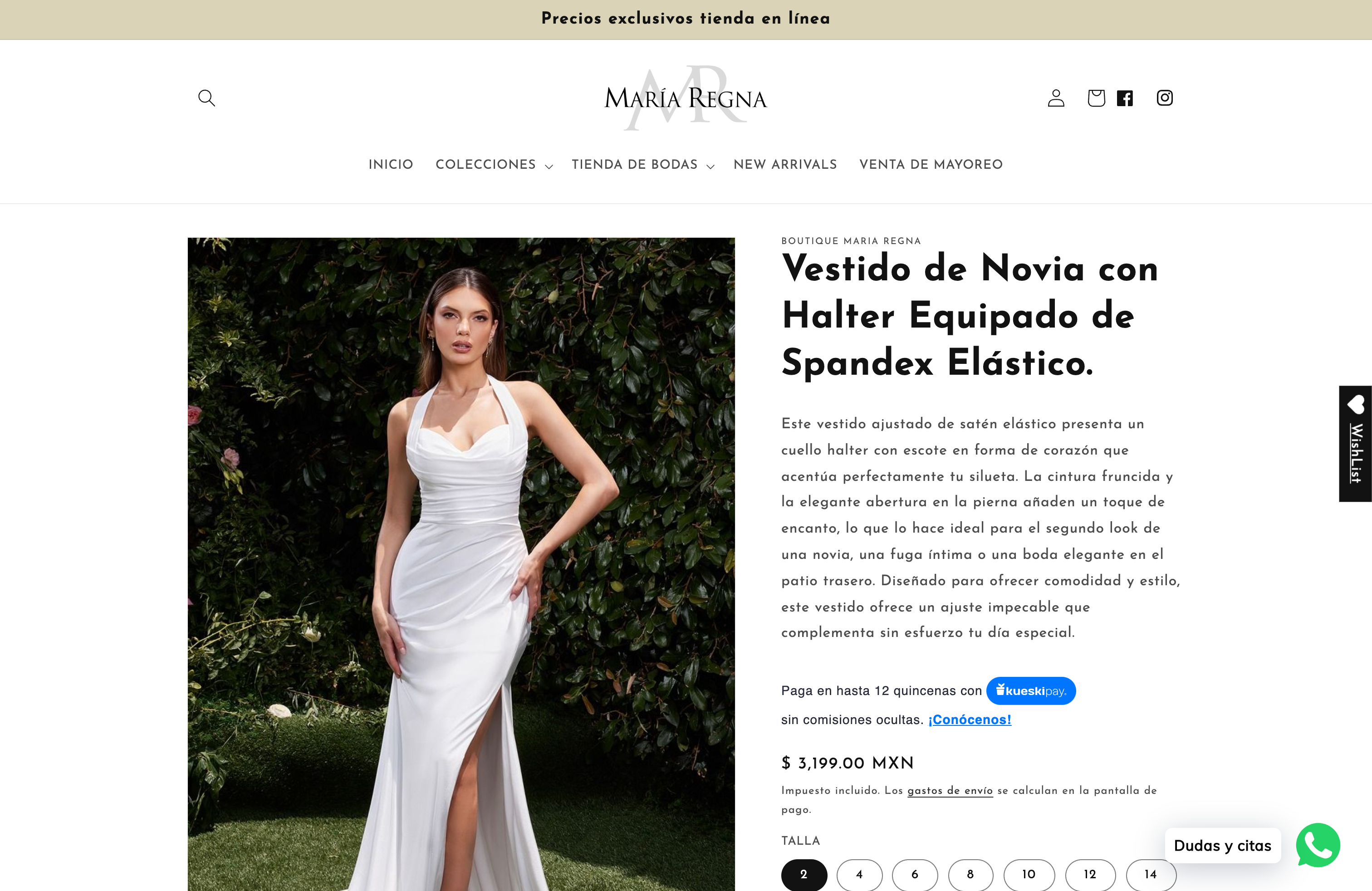 Desarrollo de tienda Boutique María Regna y soporte screenshot 5