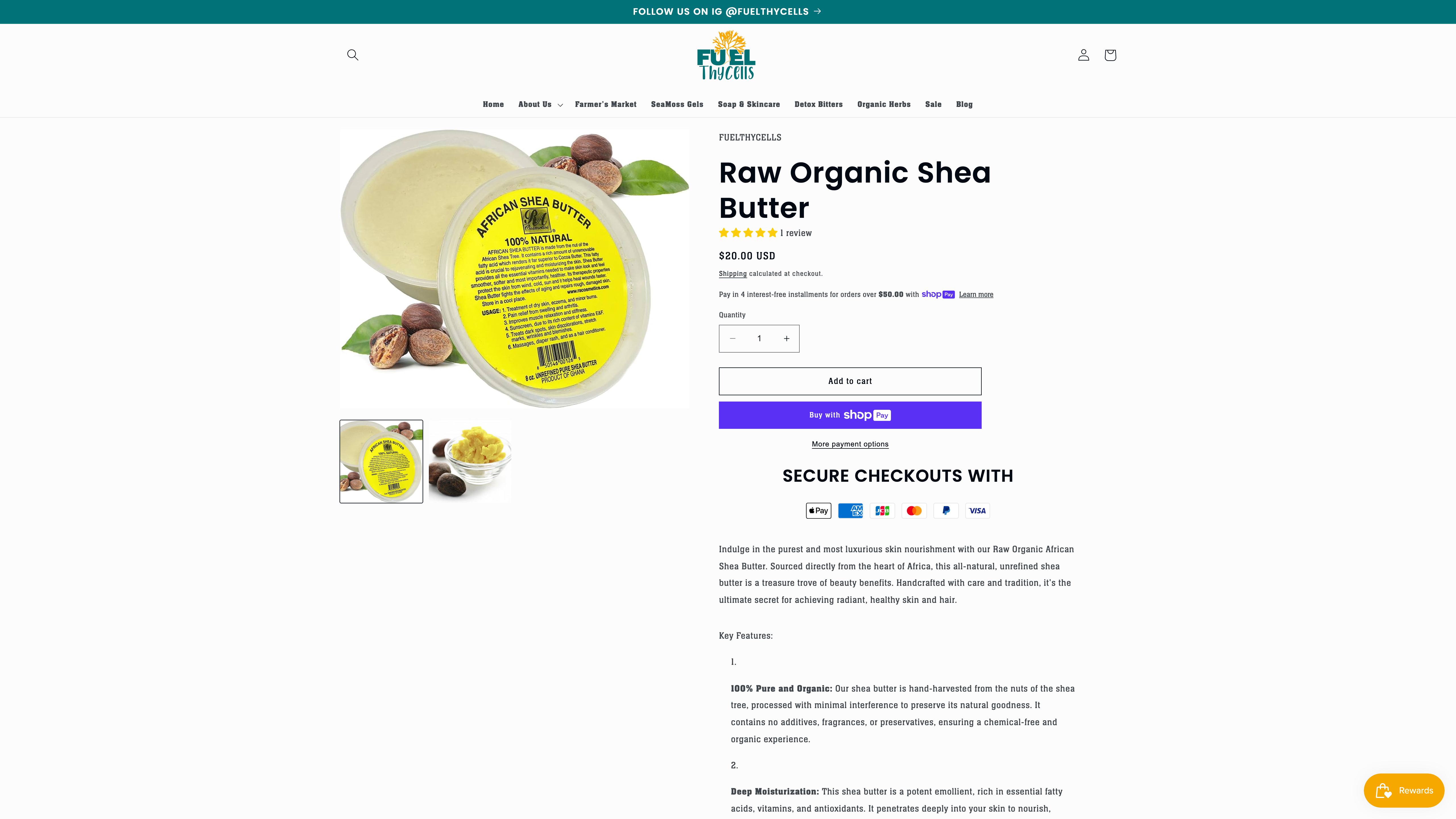 FuelthyCells screenshot 3