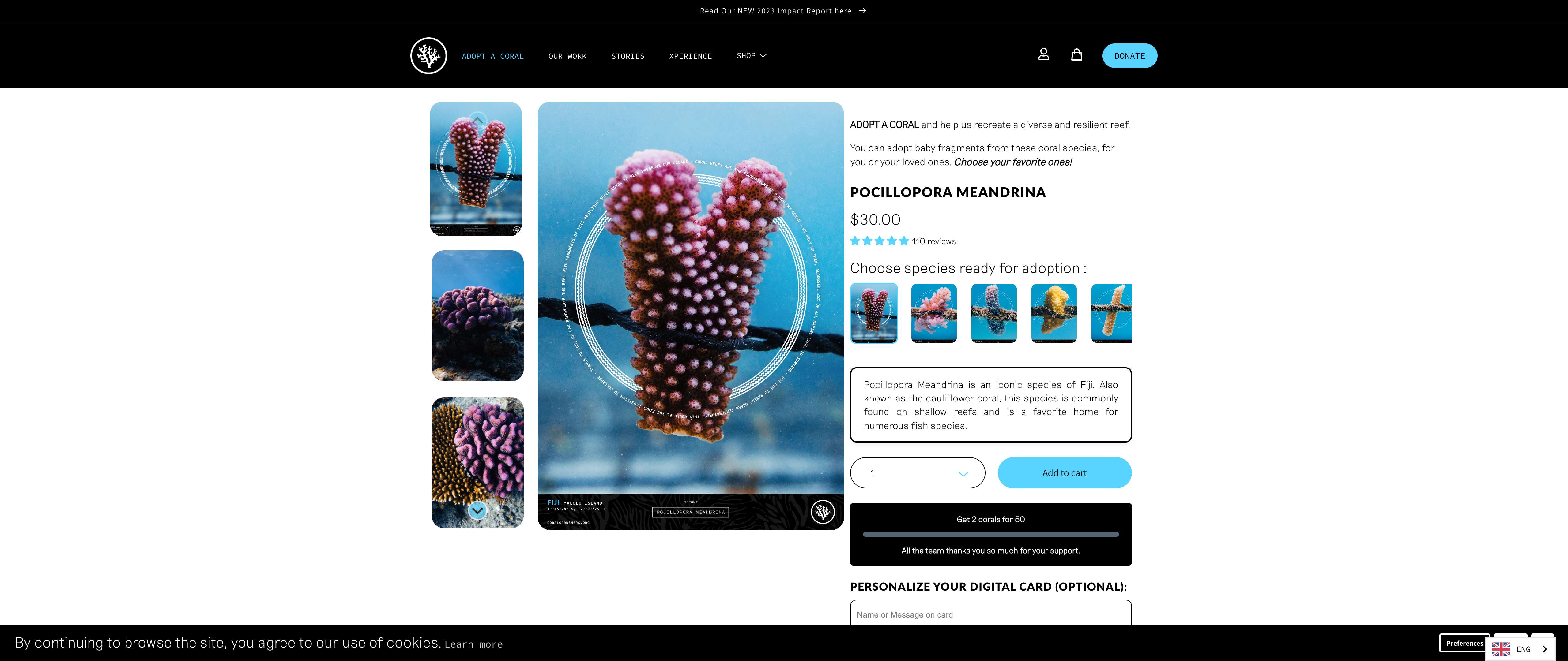 Coral Gardeners screenshot 2