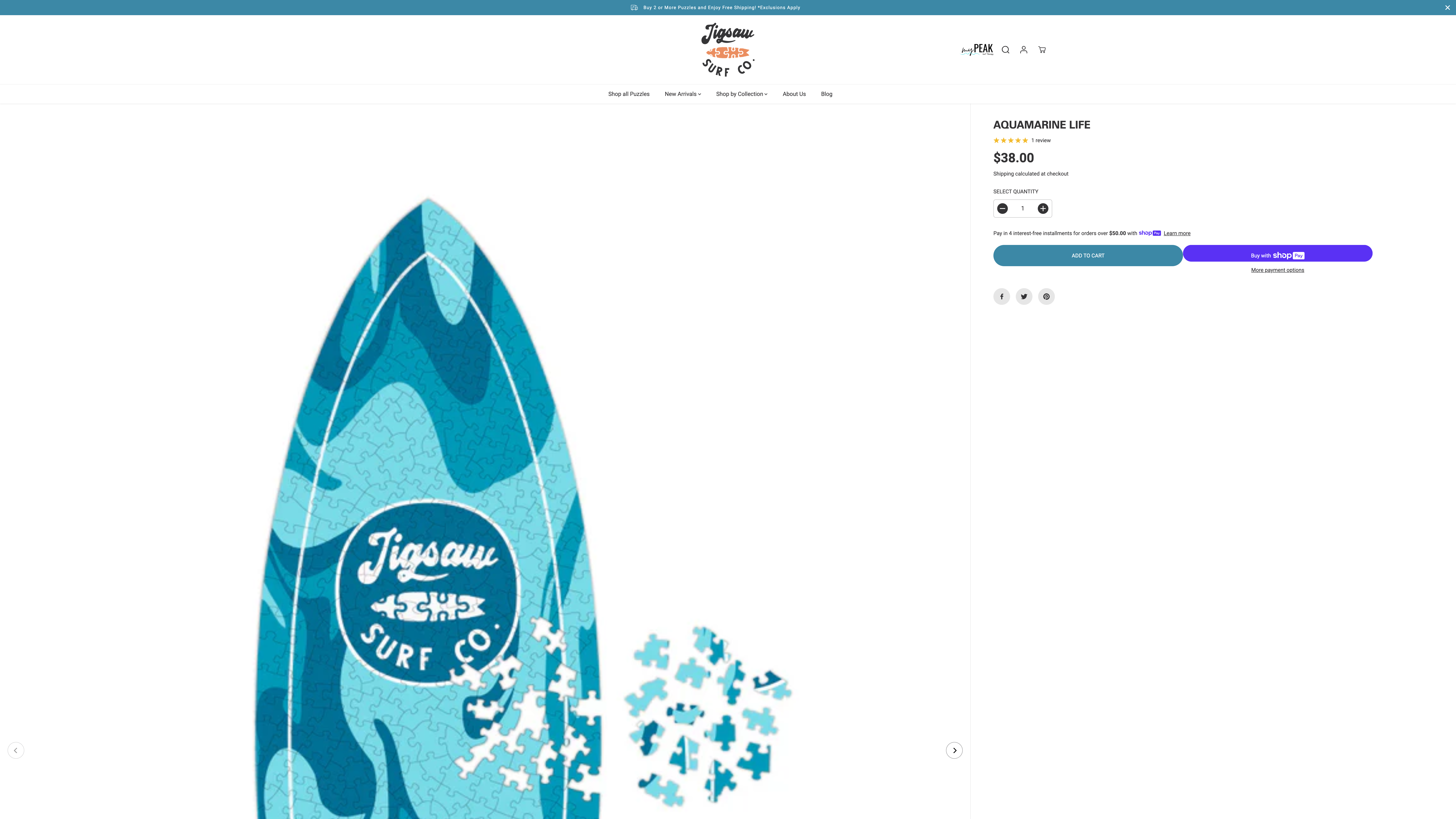 Jigsaw Surf Co Shopify Set Up screenshot 2