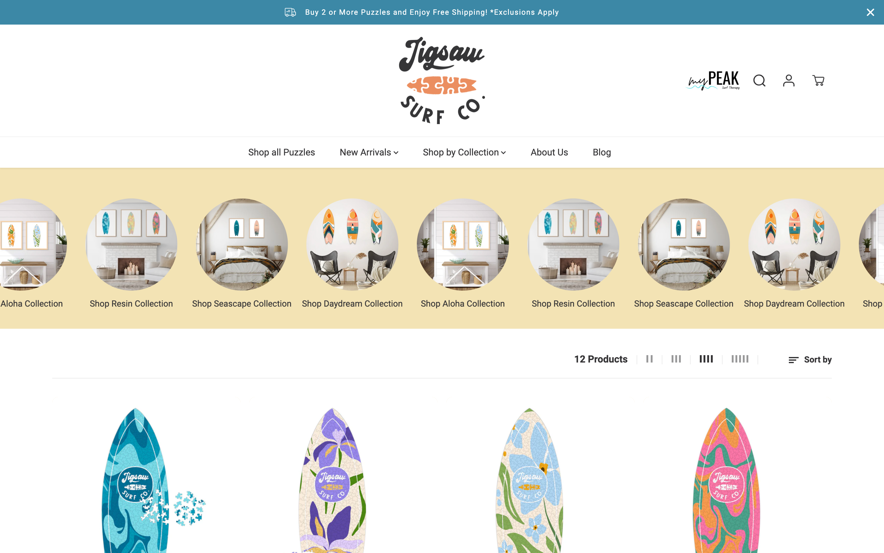 Jigsaw Surf Co Shopify Set Up screenshot