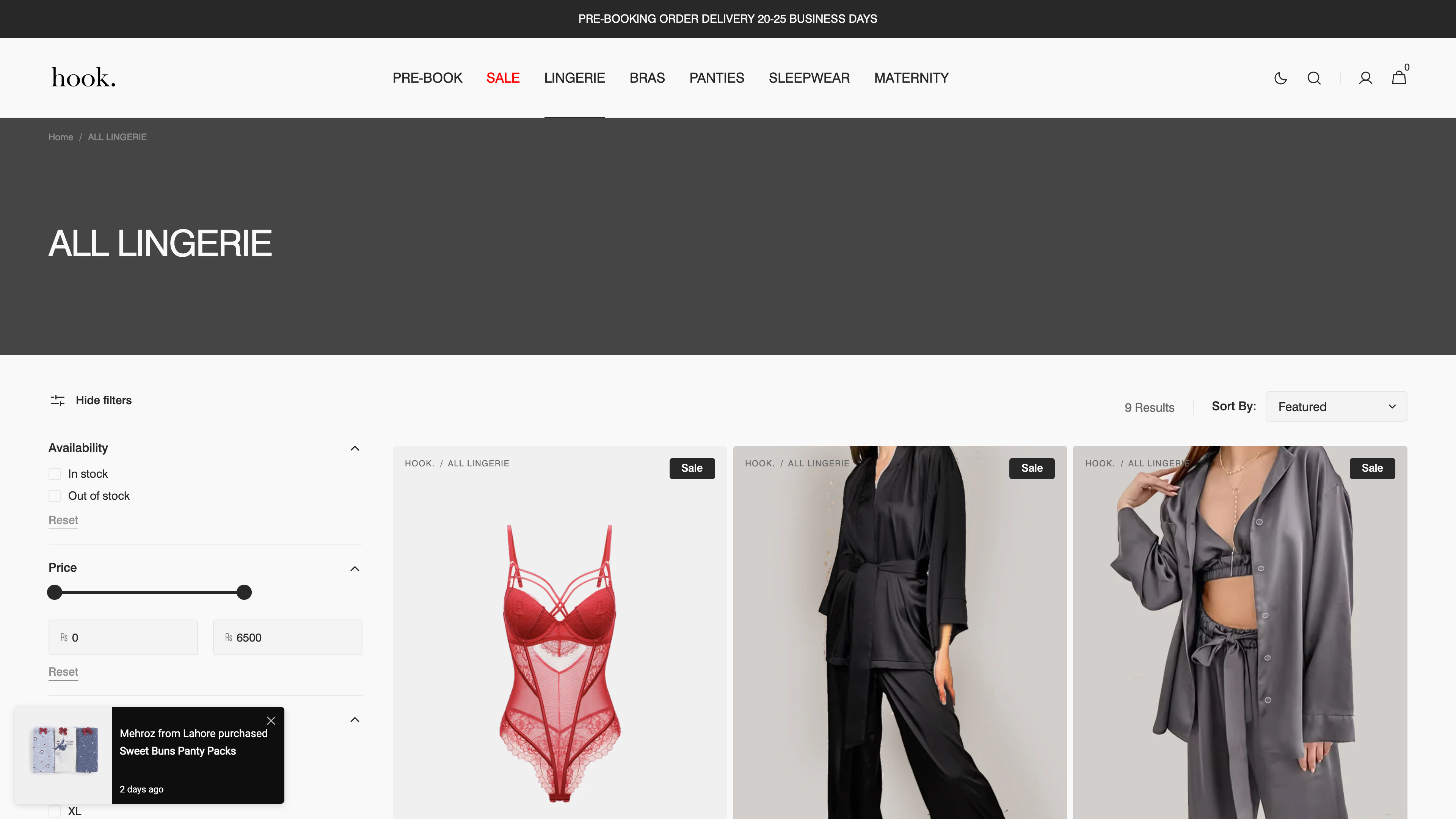 Hook Intimates: Shopify Development screenshot 3