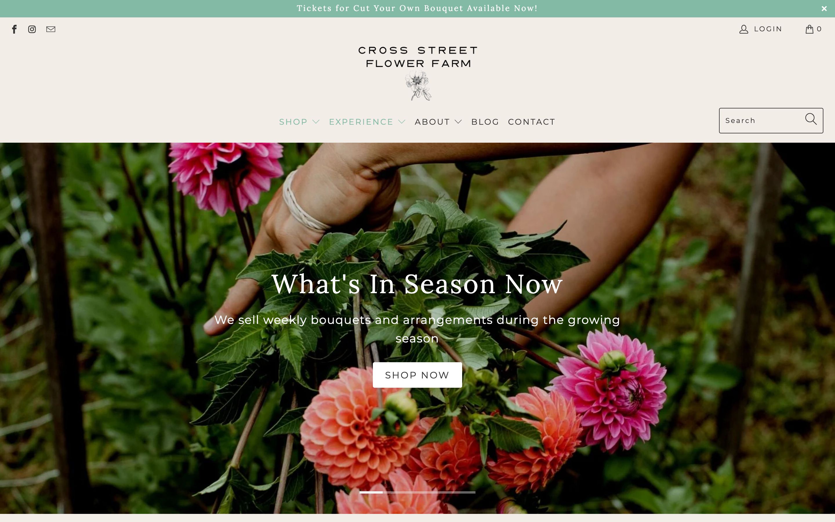 Cross Street Flower Farm screenshot 6