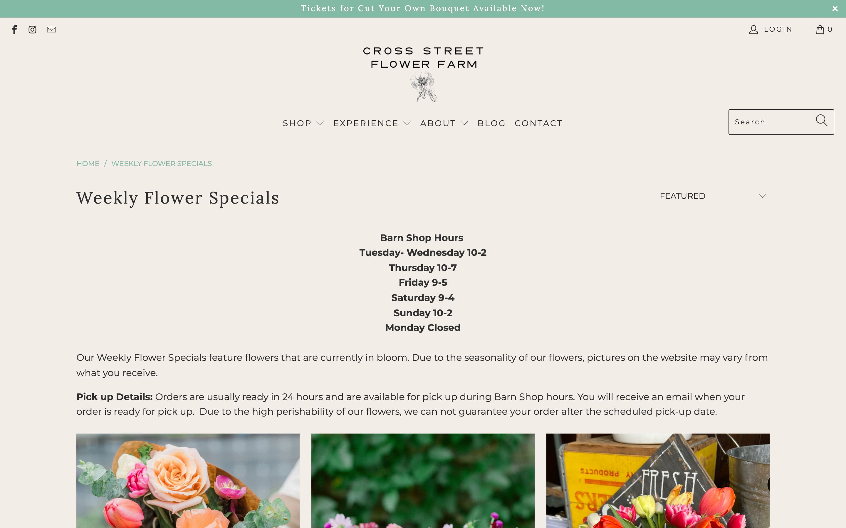 Website Creation and Email Marketing Automation for Cross Street Flower Farm