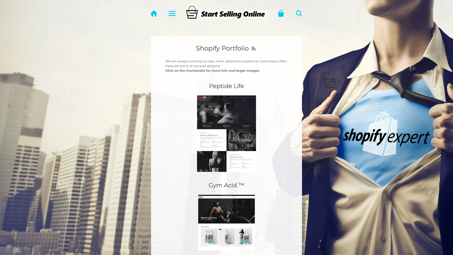 My Shopify Portfolio