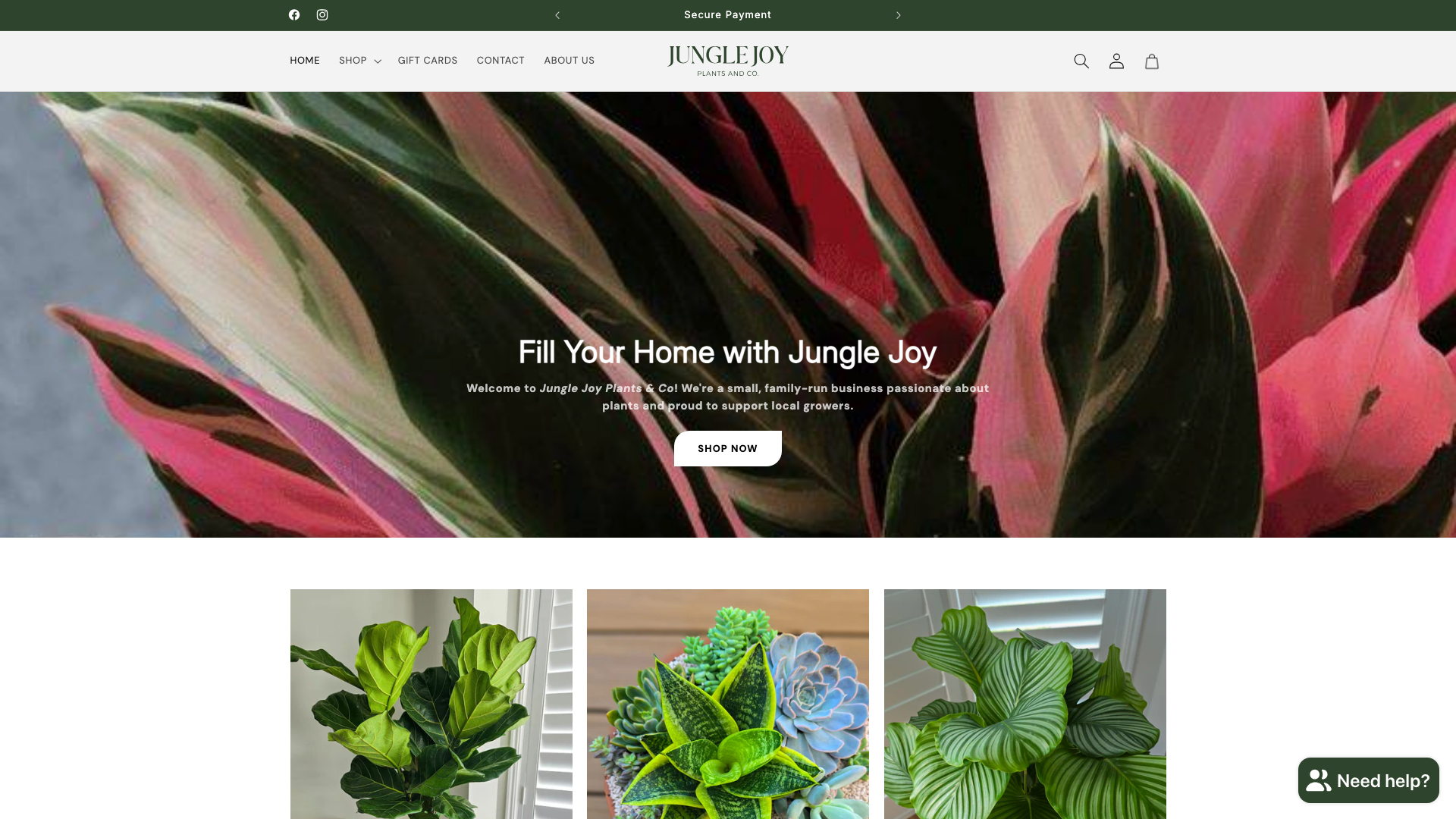 Jungle Joy Plants & Co