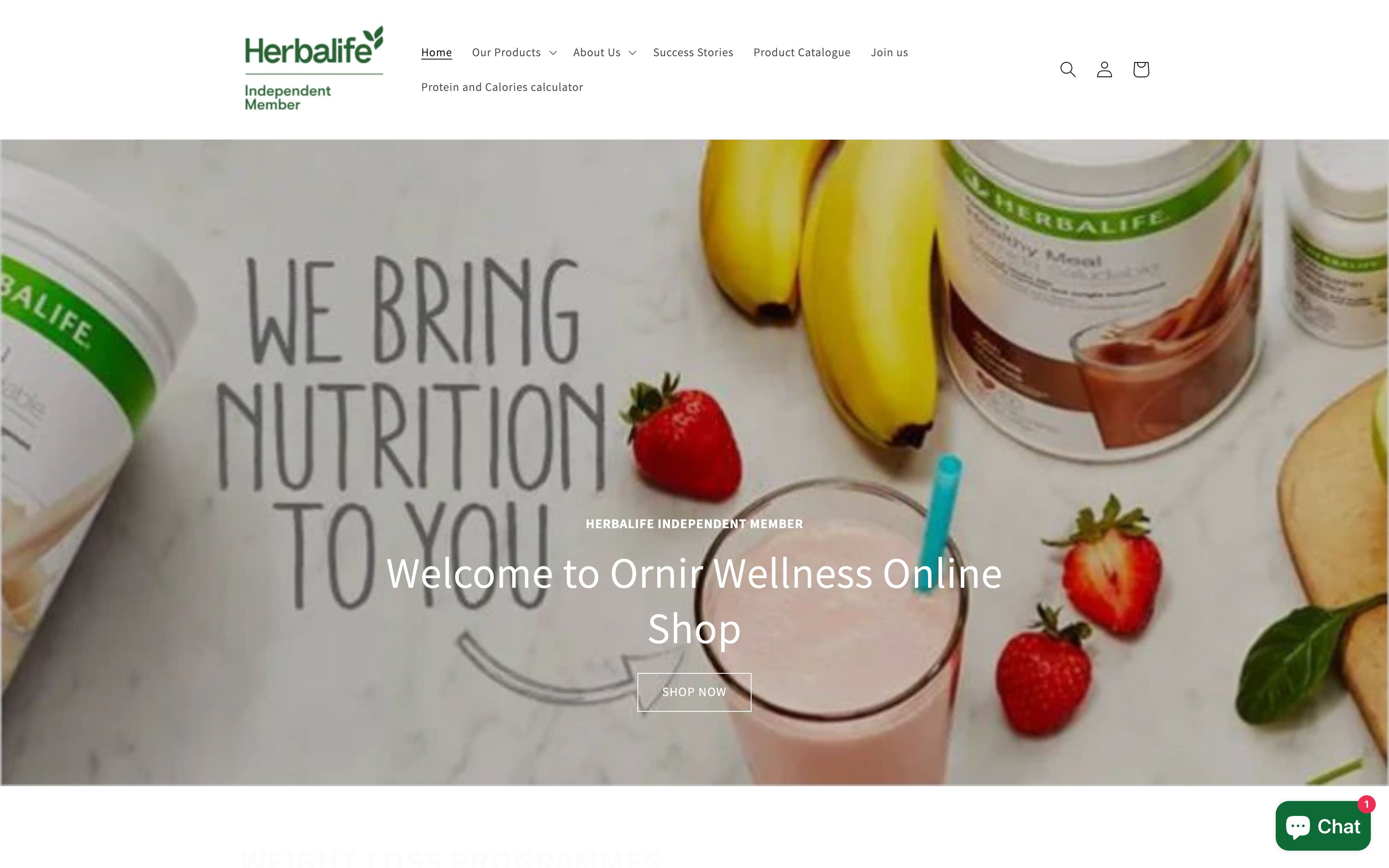Nutritionist Website Development screenshot