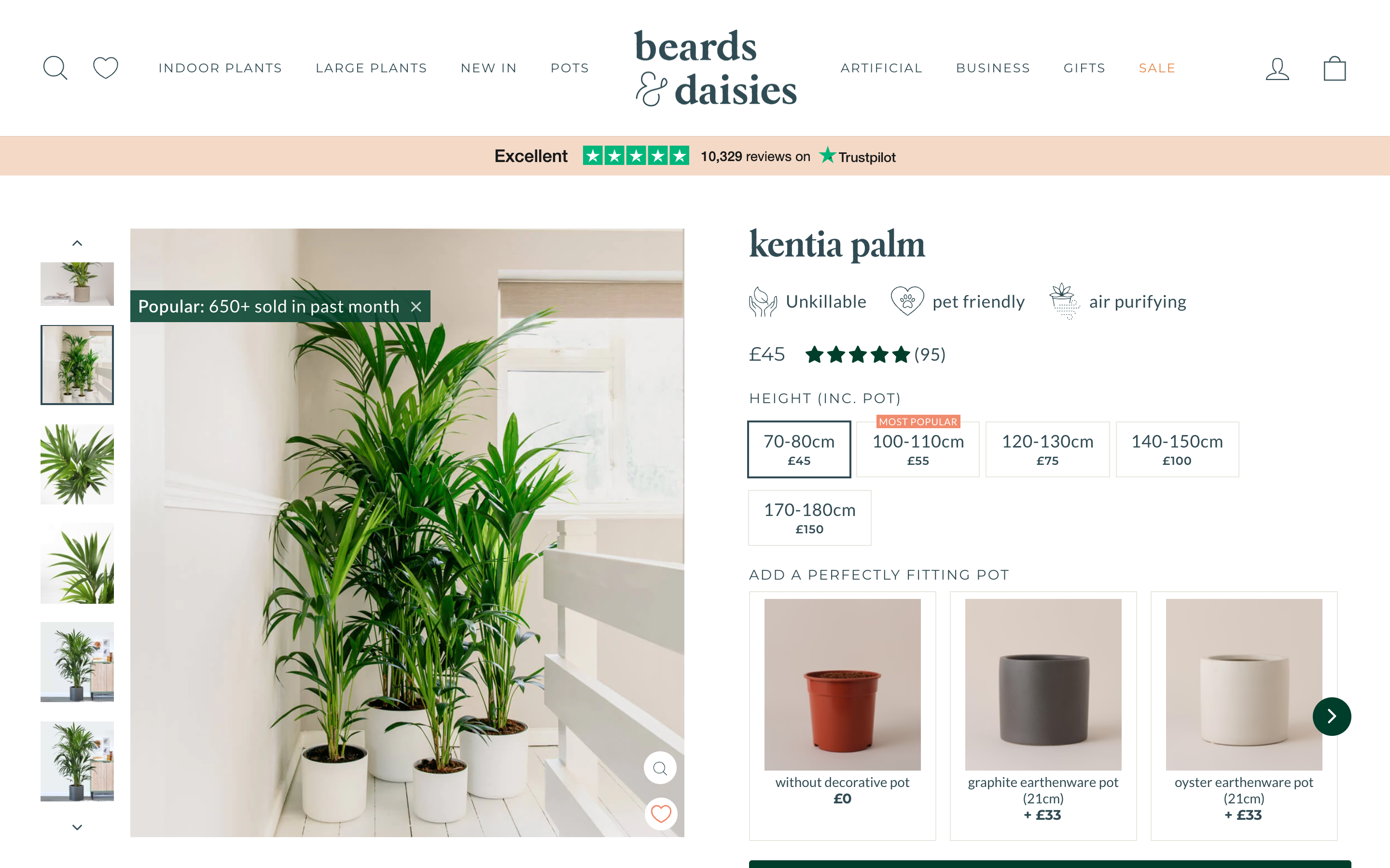 Beards & Daisies  screenshot 3